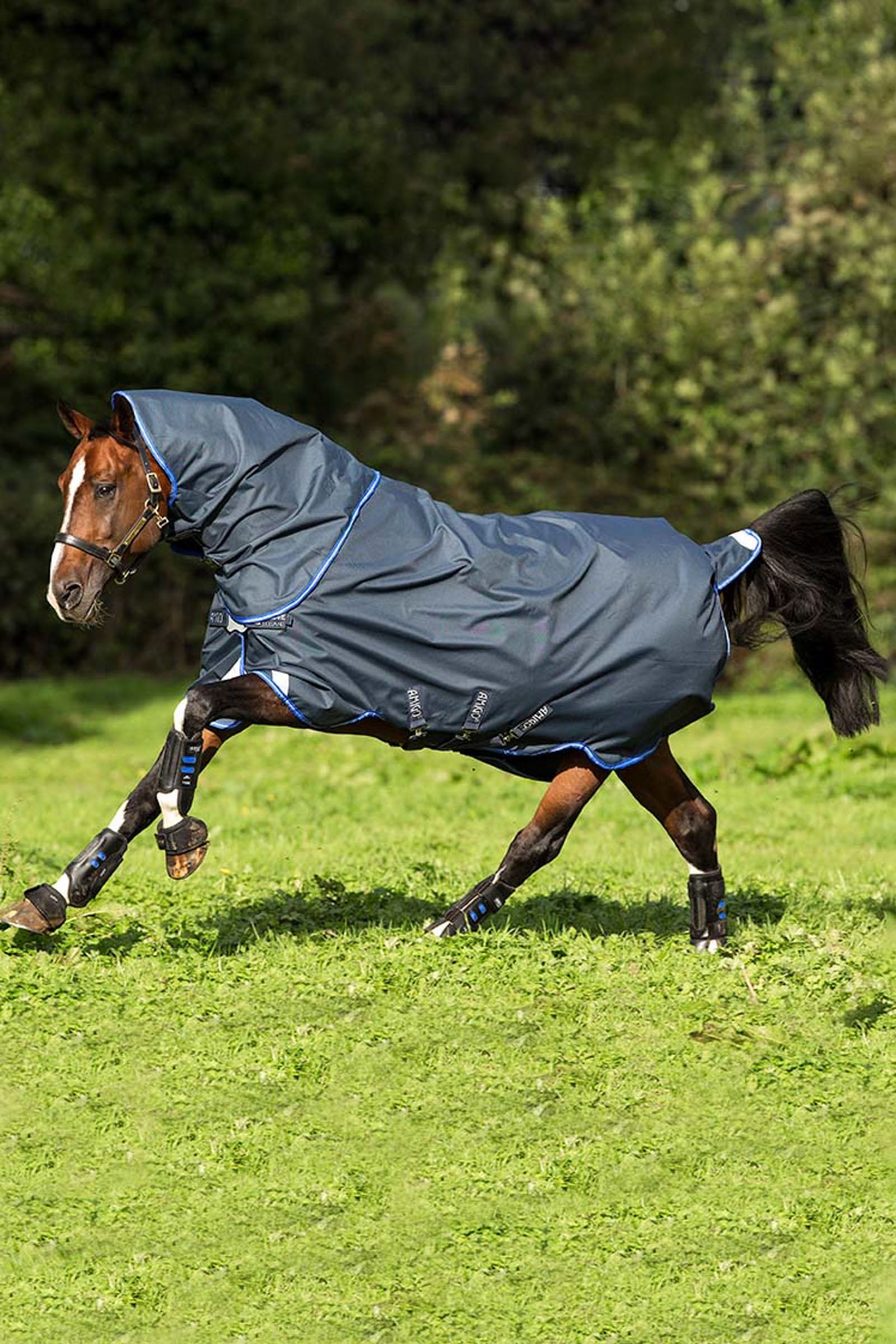 Horseware Amigo Bravo 12 Plus Disc Turnout Rug with Detachable Neck, 0g Horse Rugs