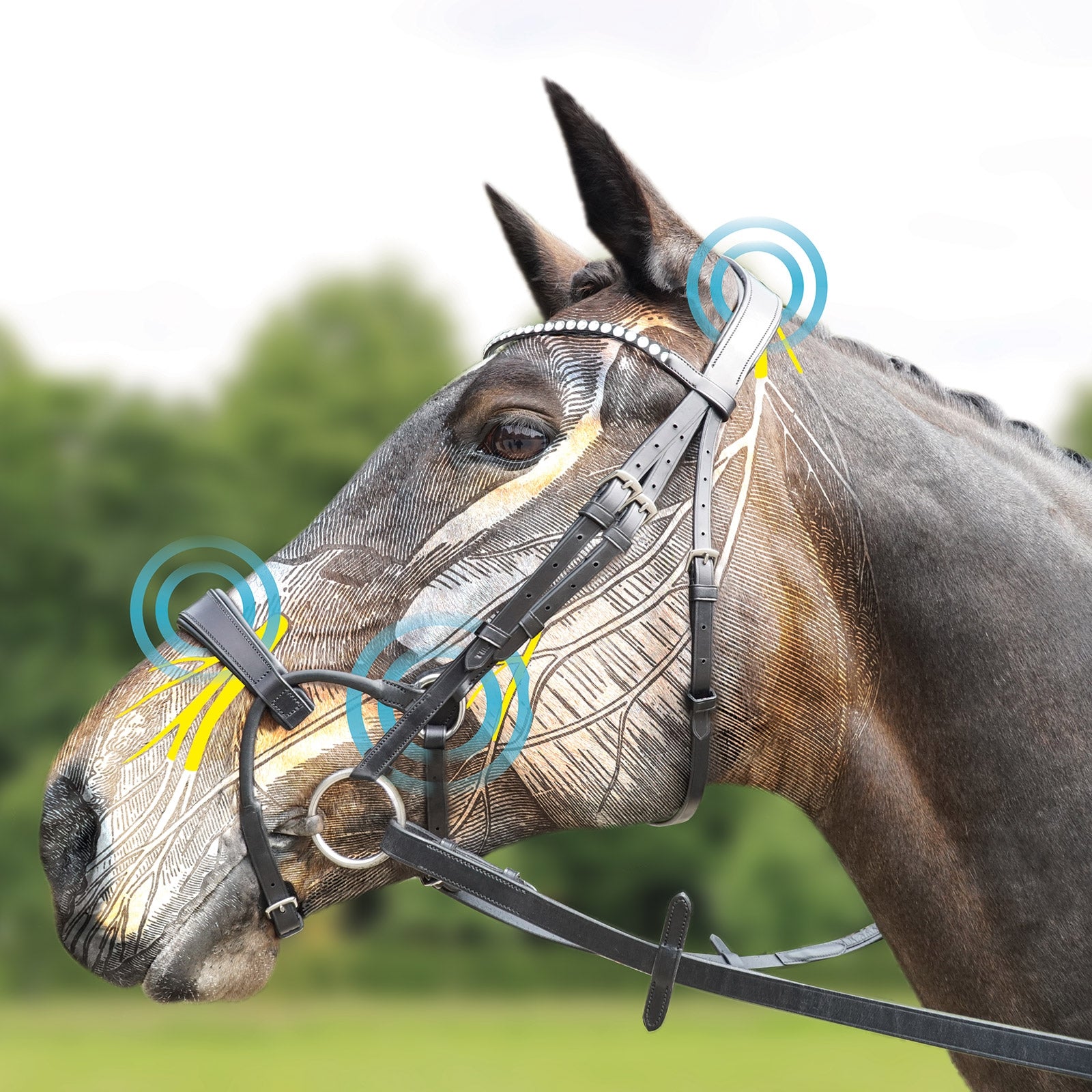 Collegiate ComFiTec Crystal Bridle Bridles & Reins