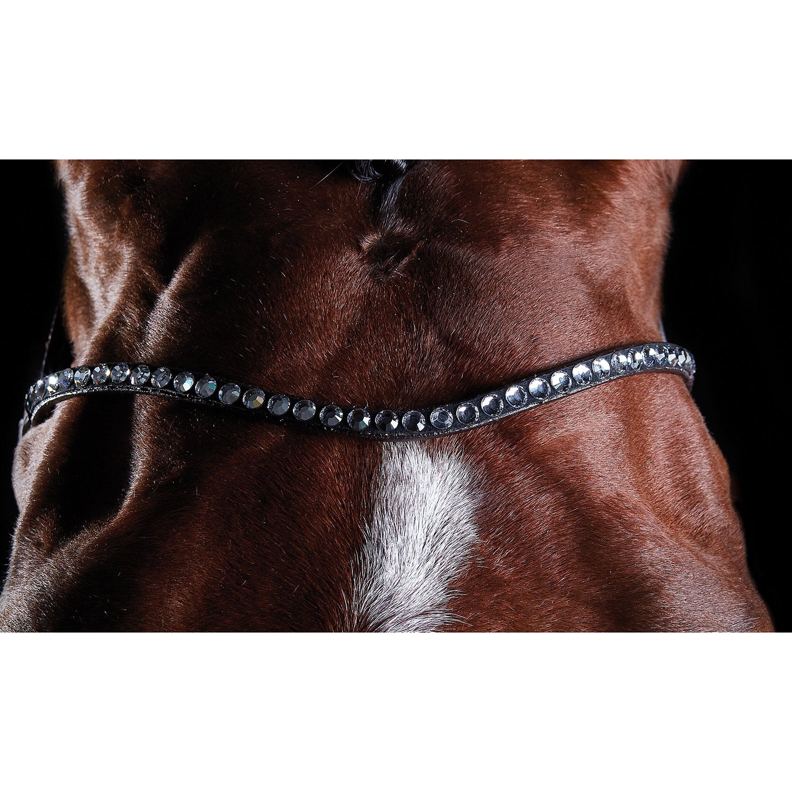 Collegiate ComFiTec Crystal Bridle Bridles & Reins