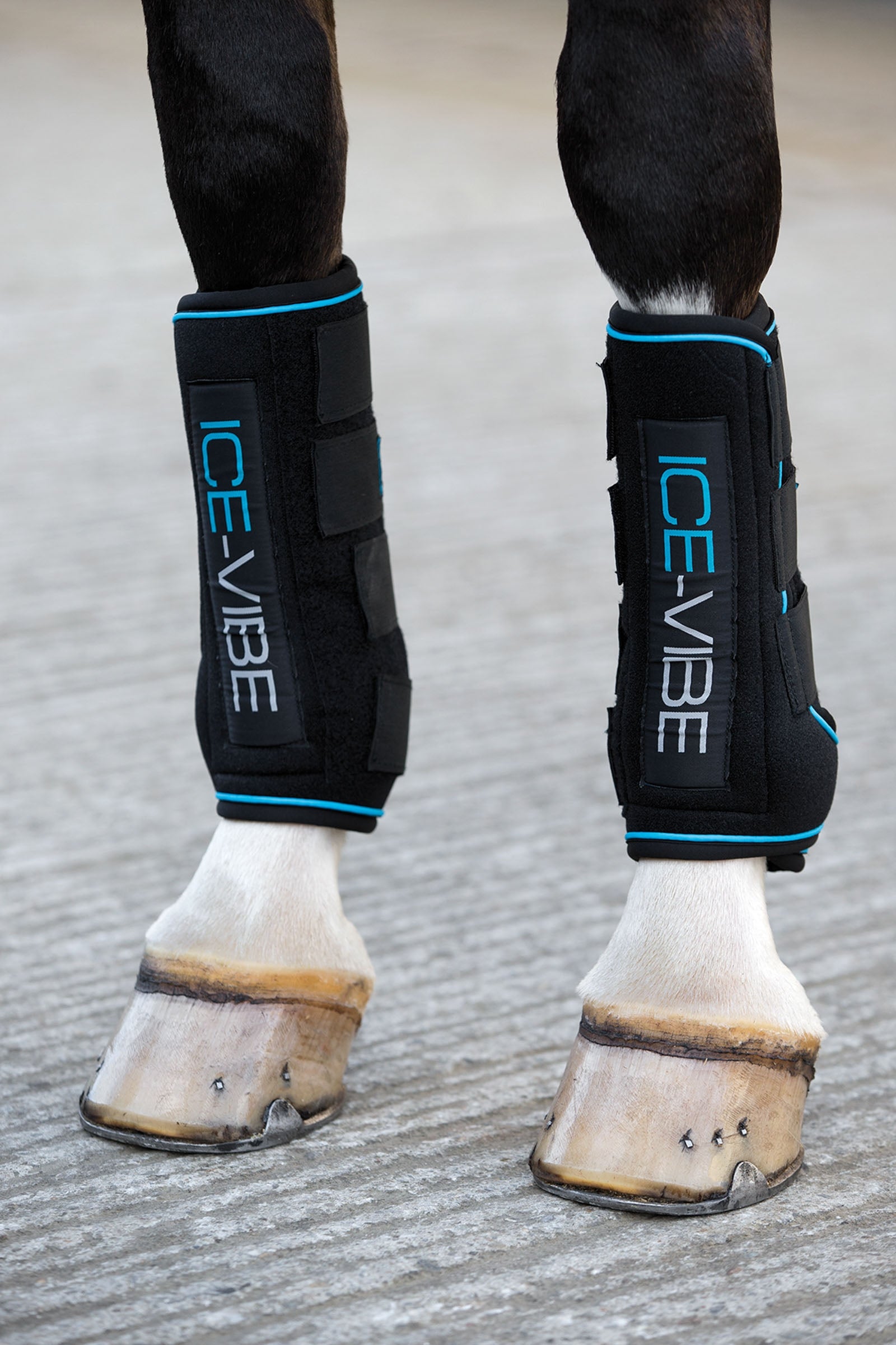 Horseware Botas Ice-Vibe Leg Protection & Hoof Protection for Horses