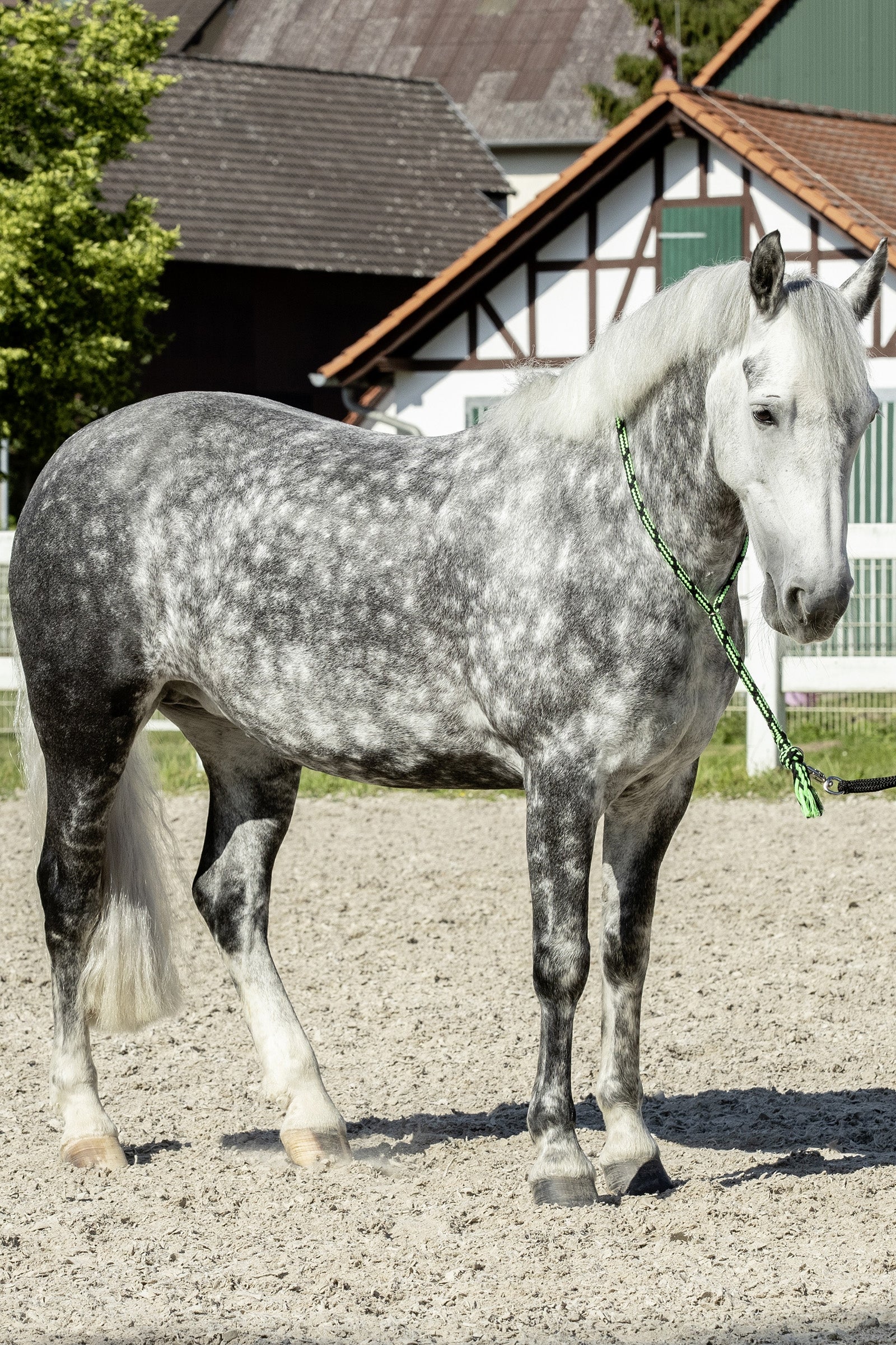 USG Soft Neck Rope Bridles & Reins