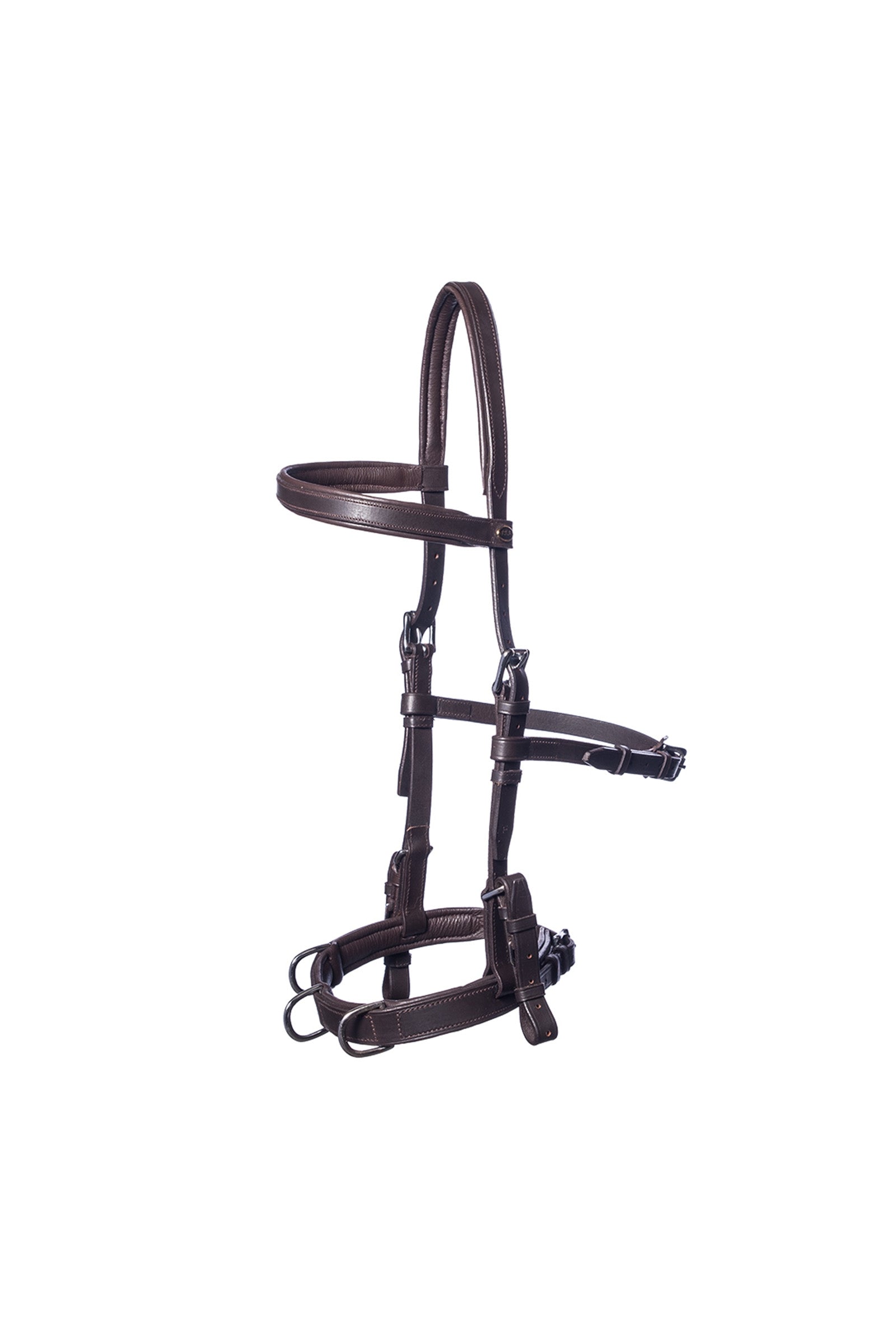 F.R.A. Freedom Riding Articles Baro cabezada dar cuerda, cuero (shire) Entrenamiento Caballo