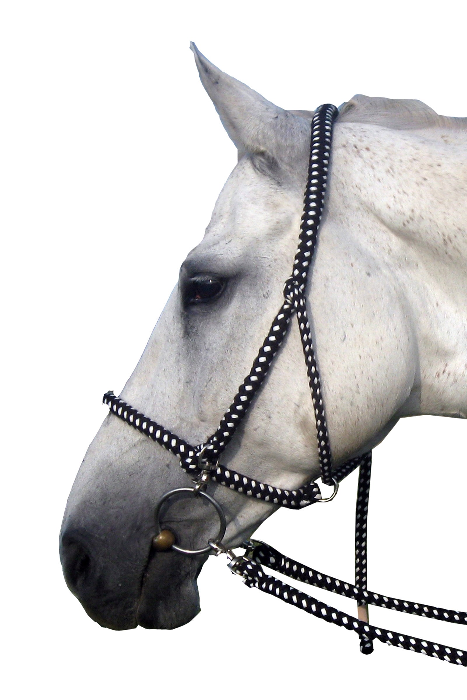 F.R.A. Freedom Riding Articles Gregor Riendas de algodón cabestro incluidas Cabezadas de cuadra & Ramales