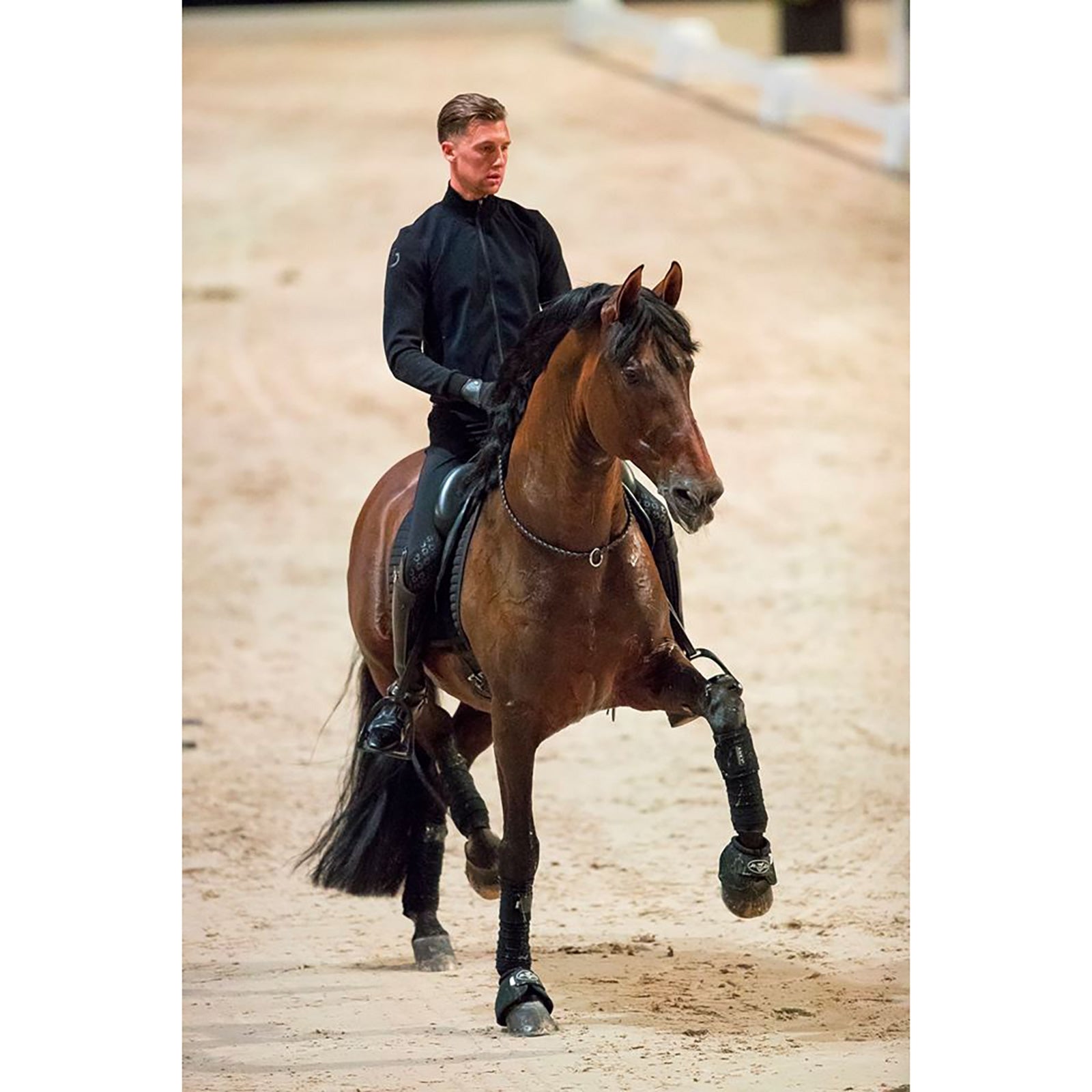 F.R.A. Freedom Riding Articles Kripton Cuerda para el cuello (Sistema 1) Cuero tejido, 15 mm Cabezadas de montar & Riendas