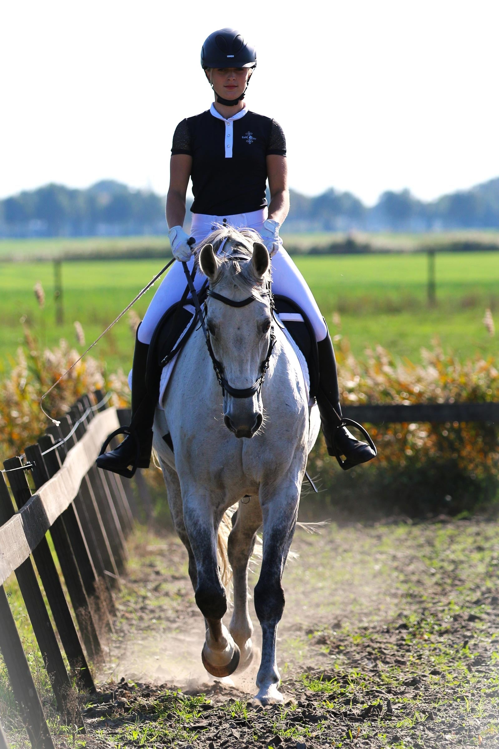 F.R.A. Freedom Riding Articles Calli Hackamore Bridle With Reins (System 2) Bridles & Reins