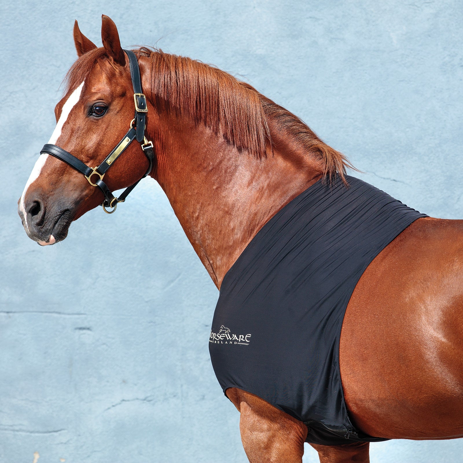 Horseware Rambo Slinky Shoulder Mantas Caballo