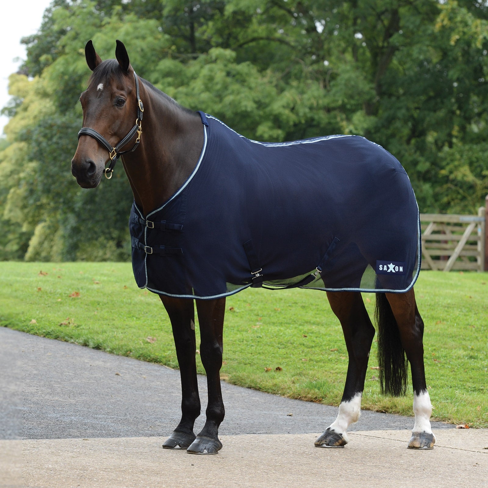 Saxon Alfombra de malla Element Mantas Caballo
