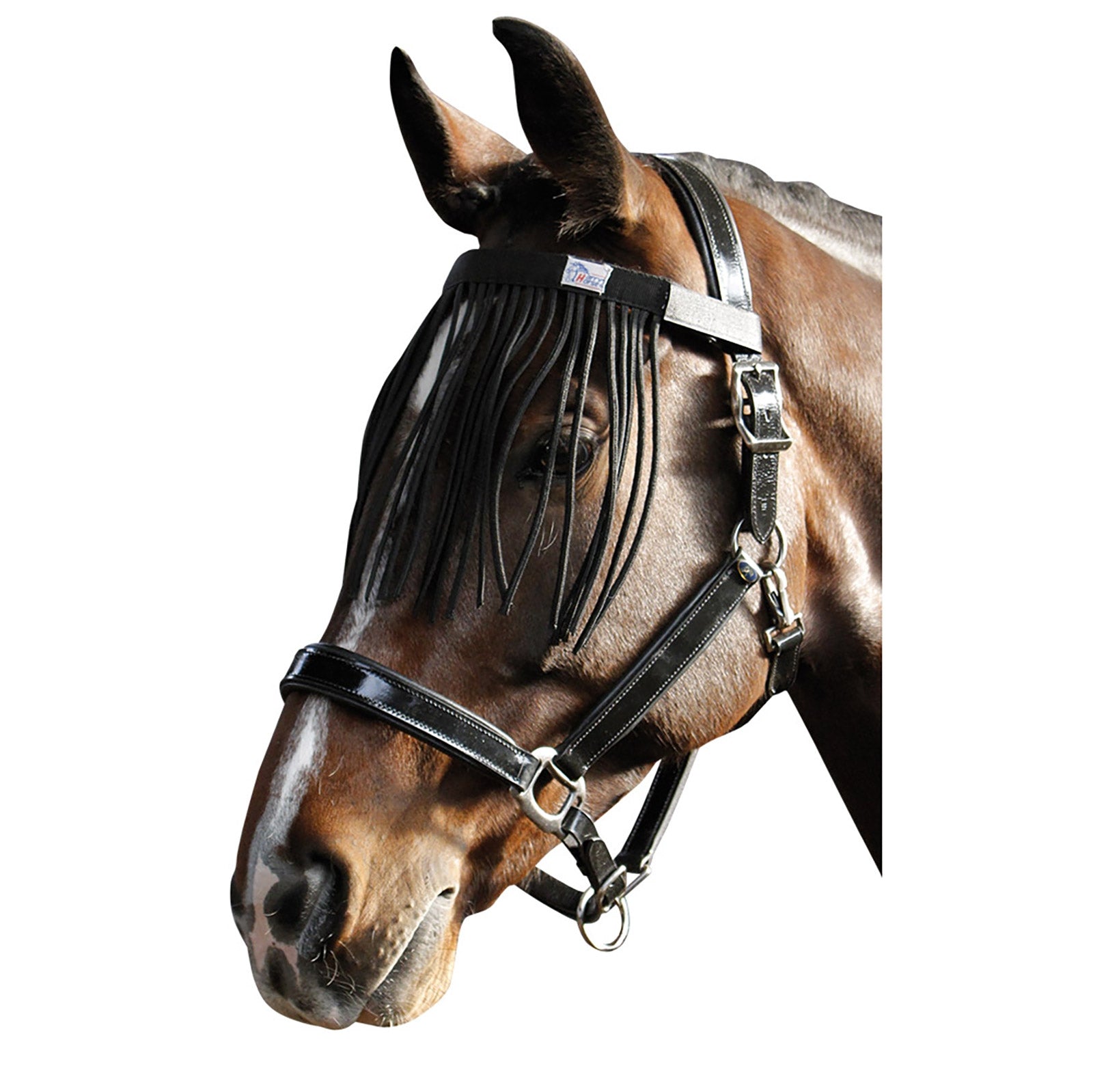 Harry's Horse Frontalera con flecos de mosca de caballo de Harry Protección Antimoscas para Caballos
