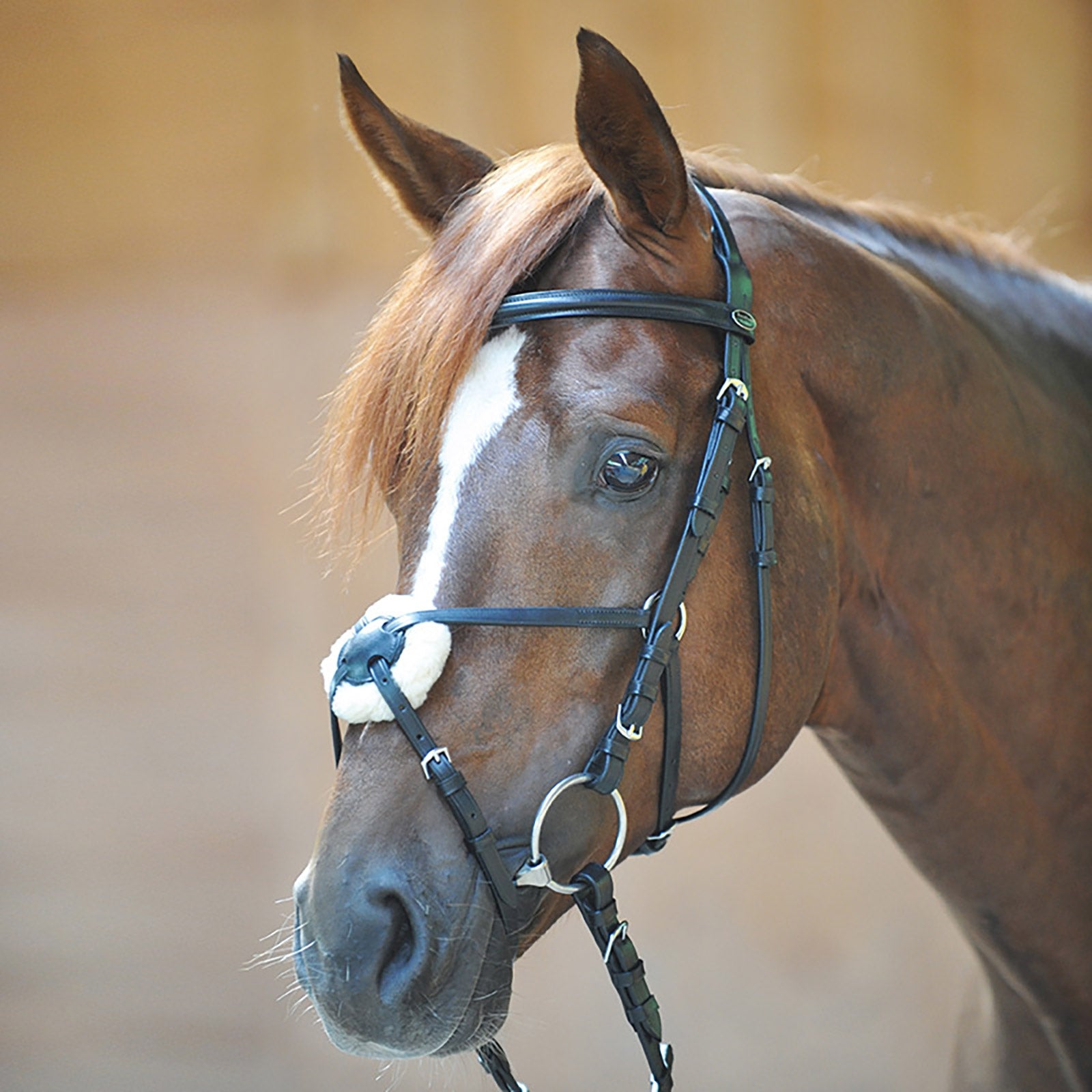 Kavalkade Carlos Mexican Bridle Cabezadas de montar & Riendas