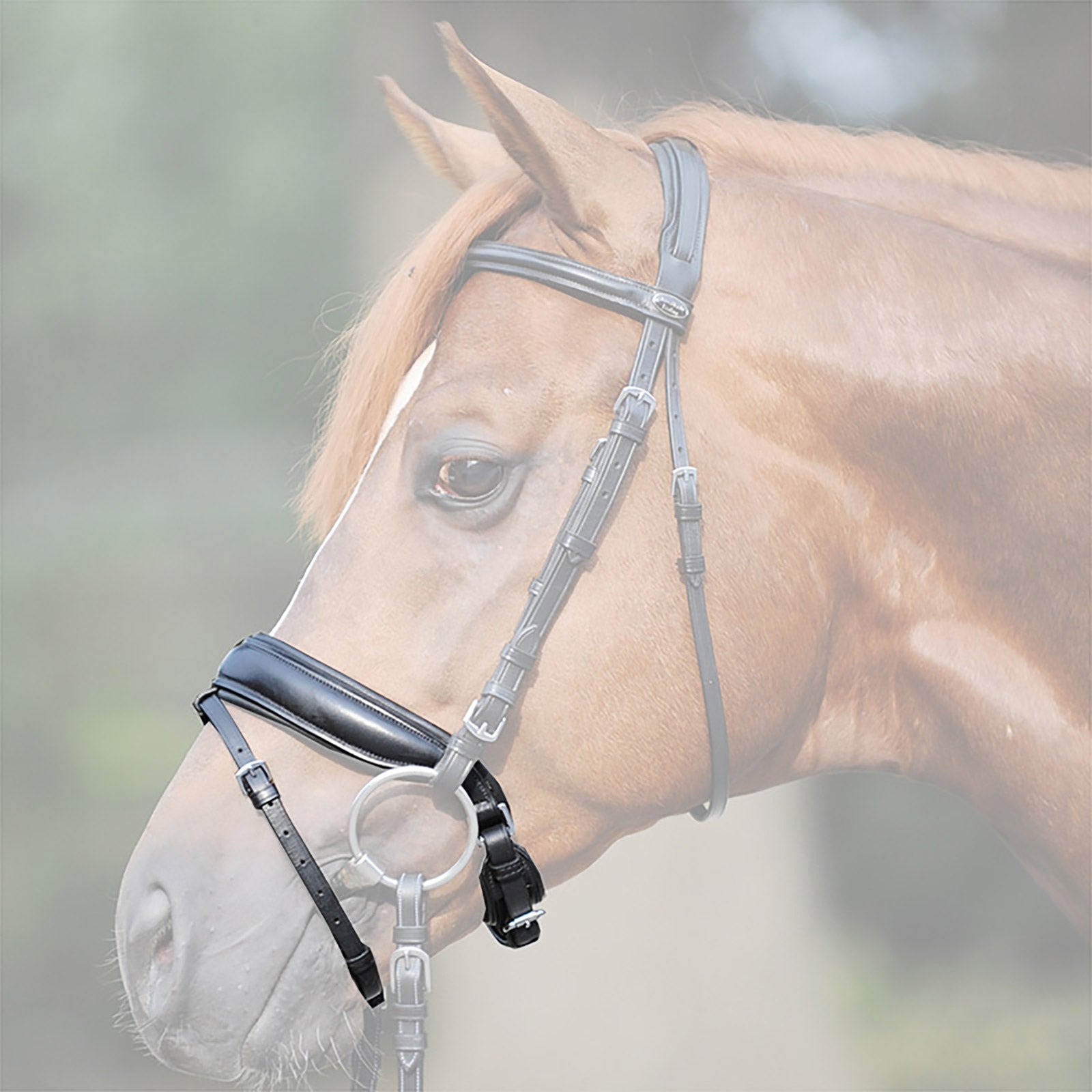 Kavalkade Crank noseband, extra wide Cabezadas de montar & Riendas