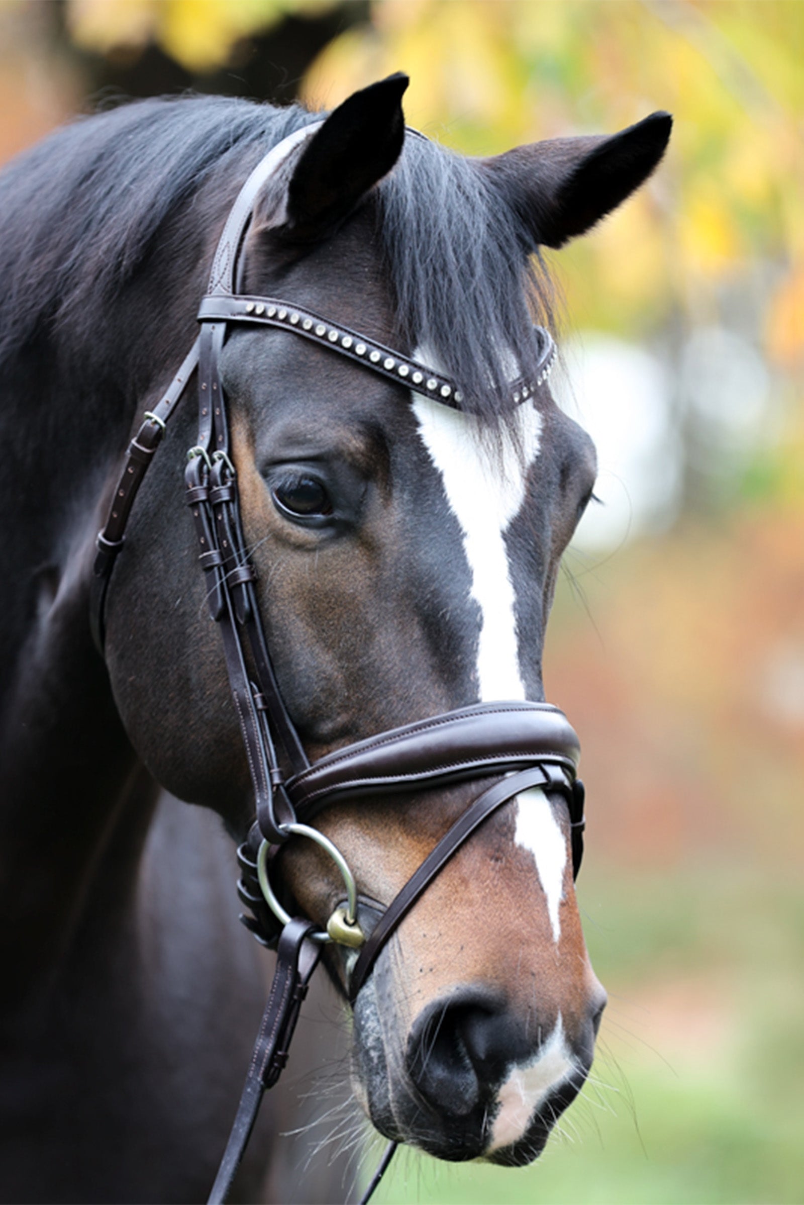 Kavalkade Charlotte Dressage Bridle Crank Noseband Bridles & Reins