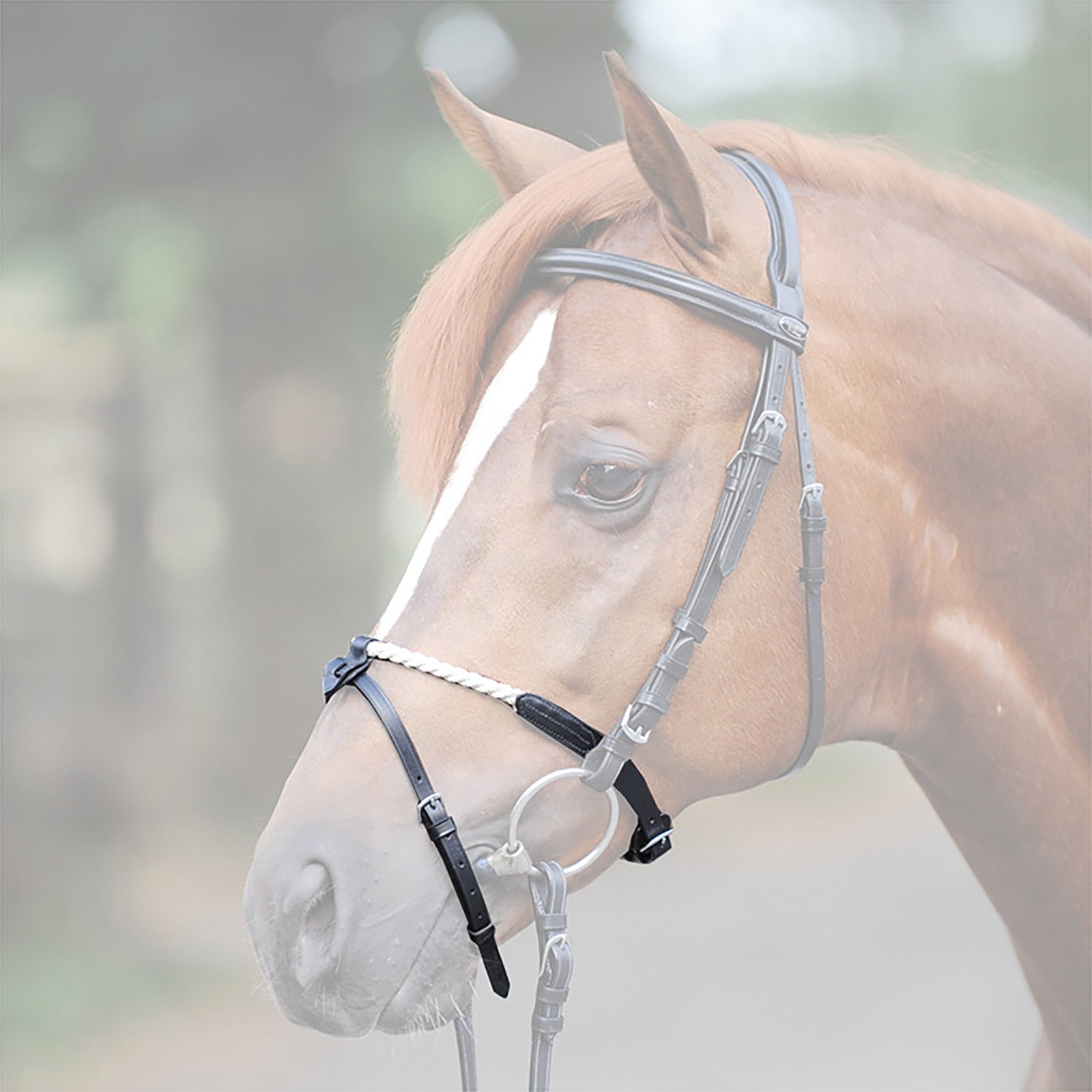 Kavalkade Rope noseband Cabezadas de montar & Riendas