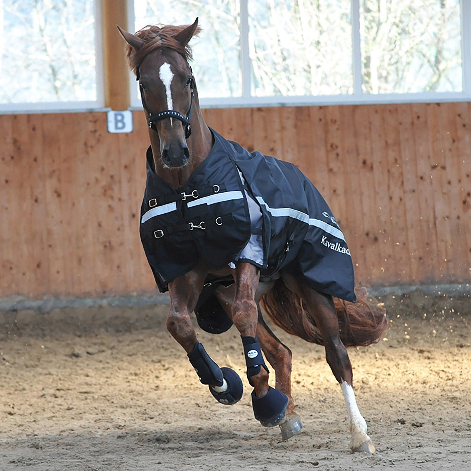 Kavalkade Alaska IV Turnout Rug, 100 g Mantas Caballo