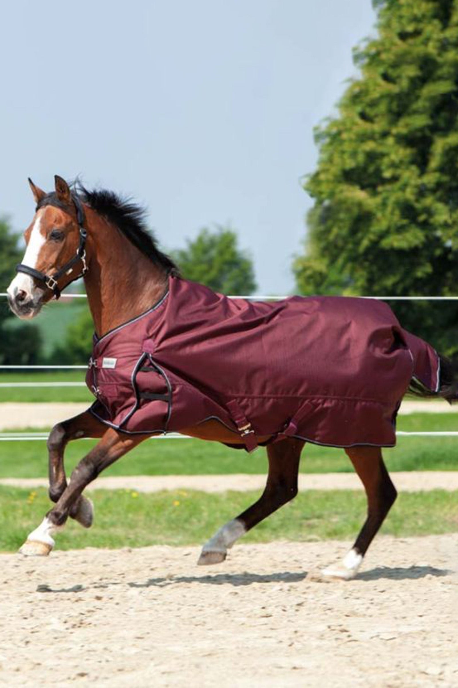 Kavalkade Alaska IV Turnout Rug, 300 g Horse Rugs