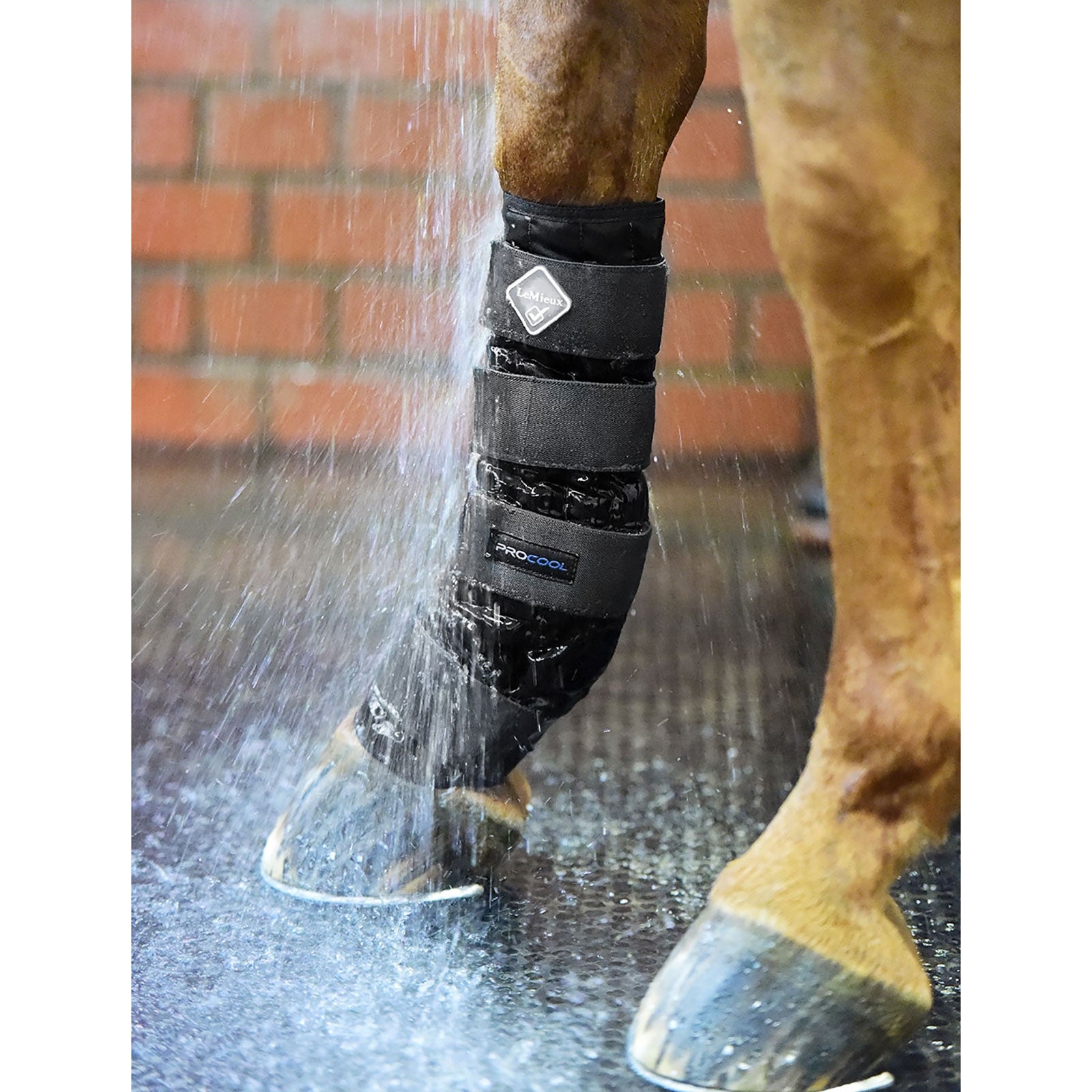 LeMieux Protector de Agua Fría LeMieux Leg & Hoof Protection
