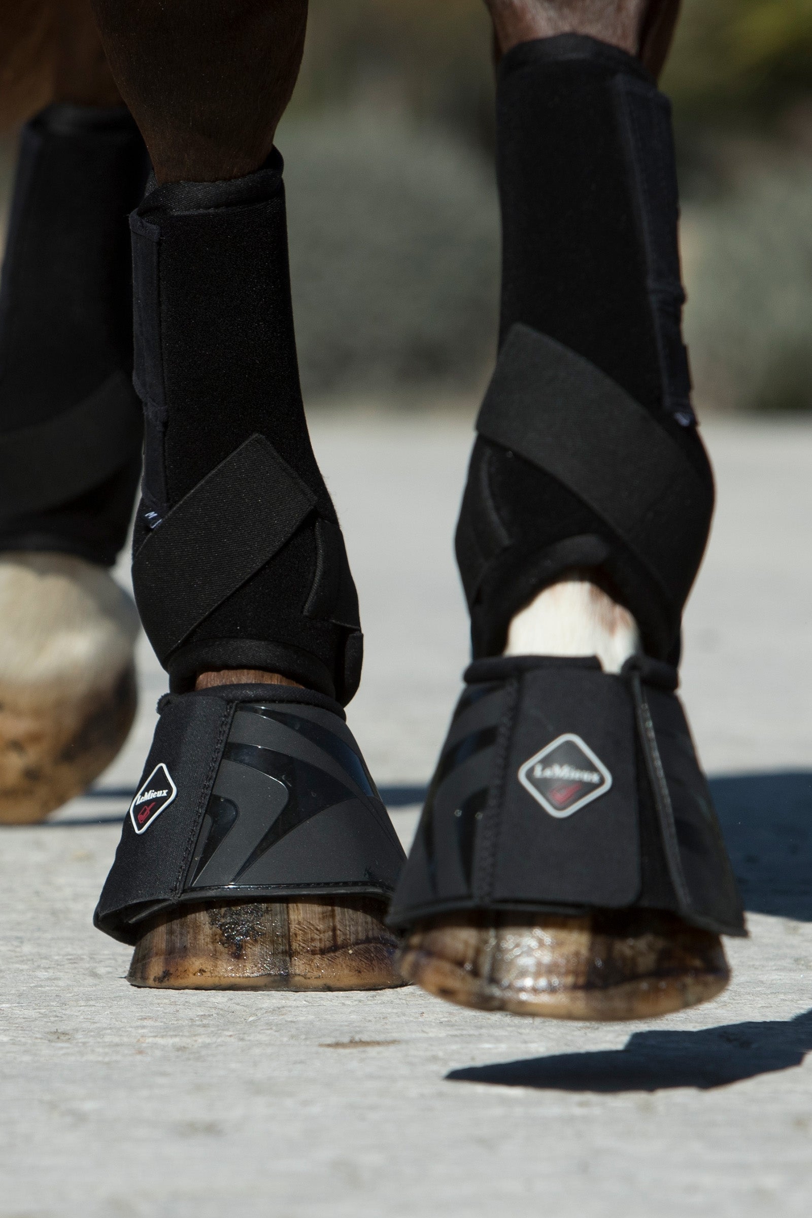 LeMieux Campanas ProShell Leg Protection & Hoof Protection for Horses