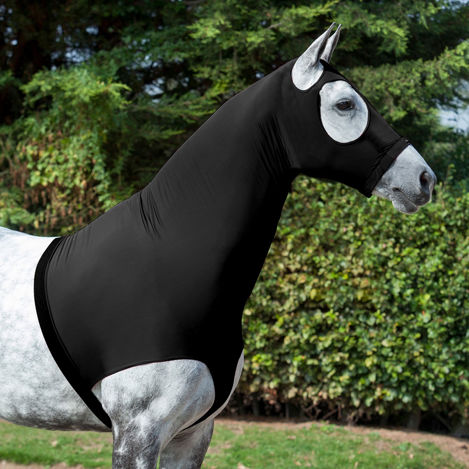 LeMieux Cubre Cuello, Cara y Pecho de Lycra LeMieux Mantas Caballo