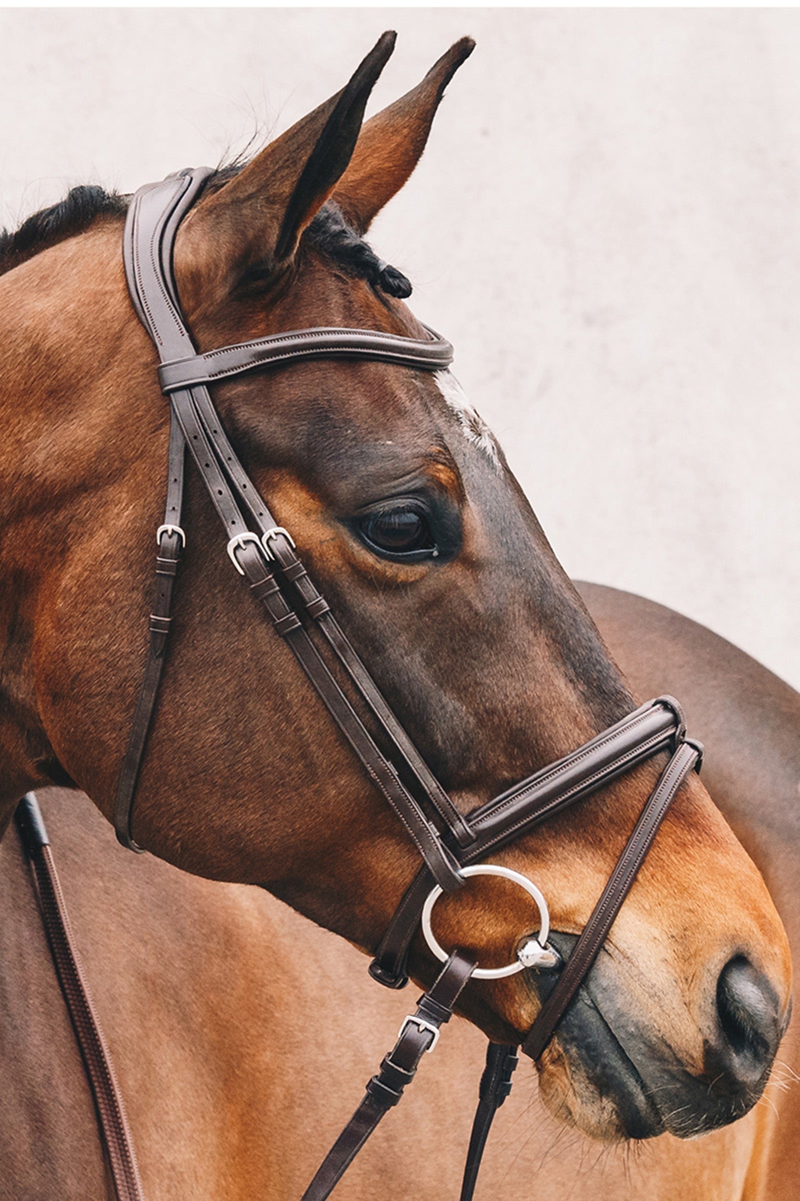 Schockemöhle Sports Tokyo Select Bridle Bridles & Reins