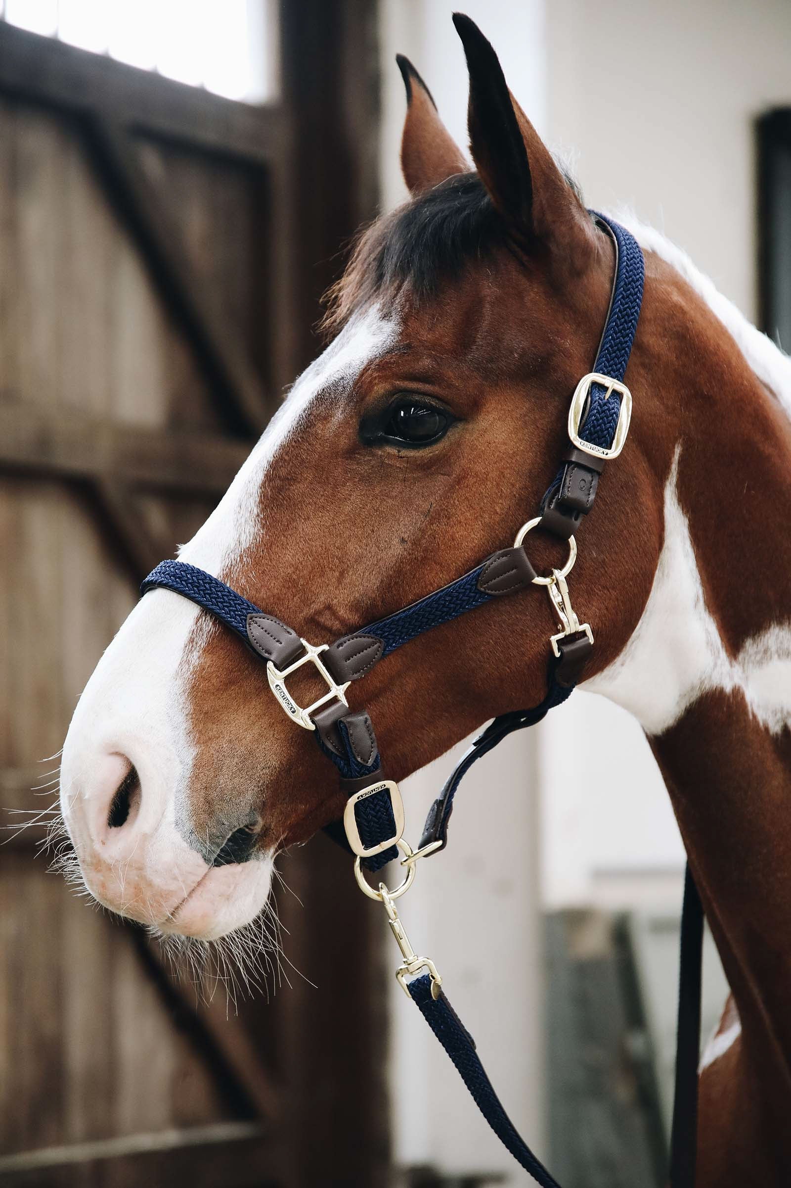 Kentucky Horsewear Halter de nailon trenzado de Kentucky Cabezadas de cuadra & Ramales