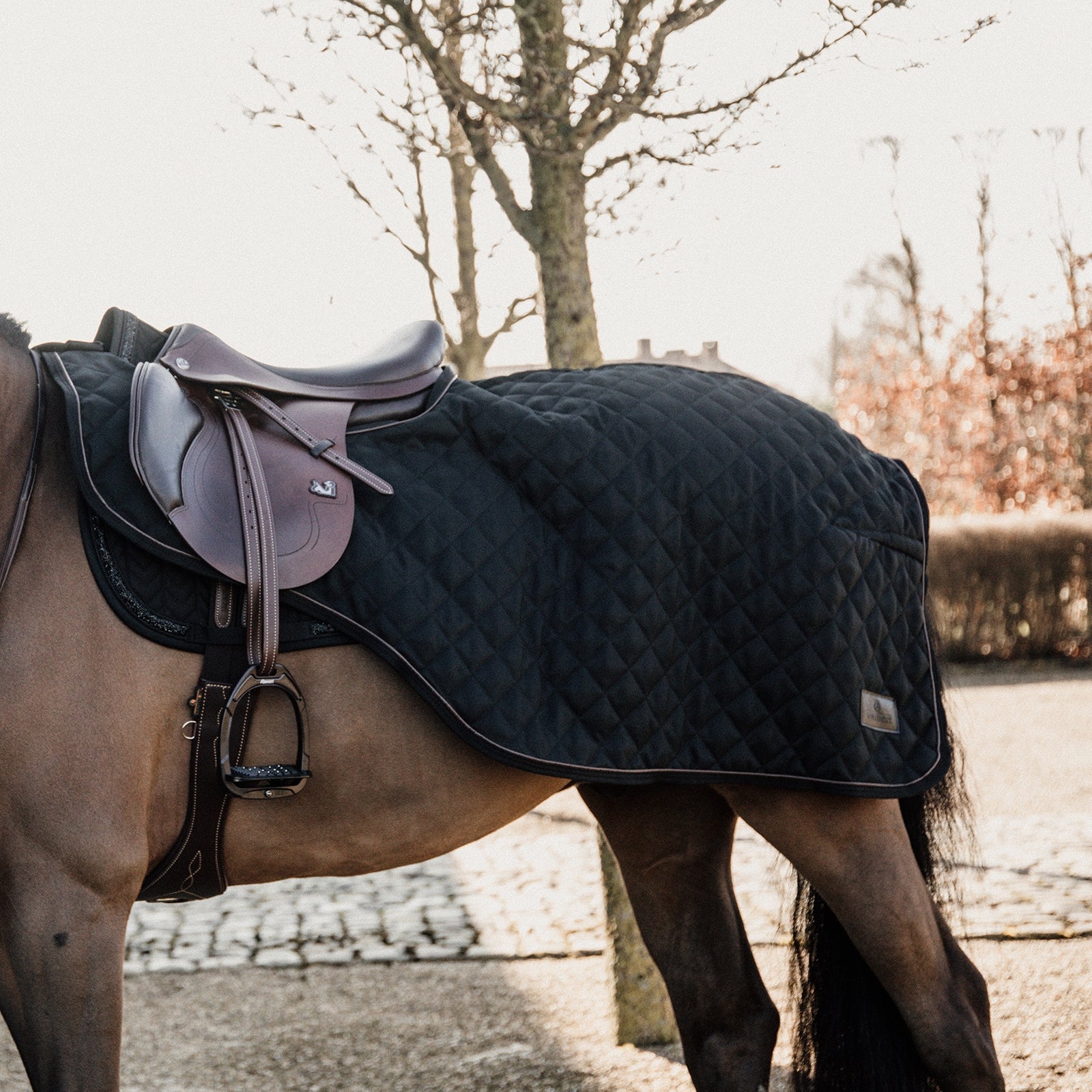 Kentucky Horsewear Riding Rug, 160g Horse Rugs