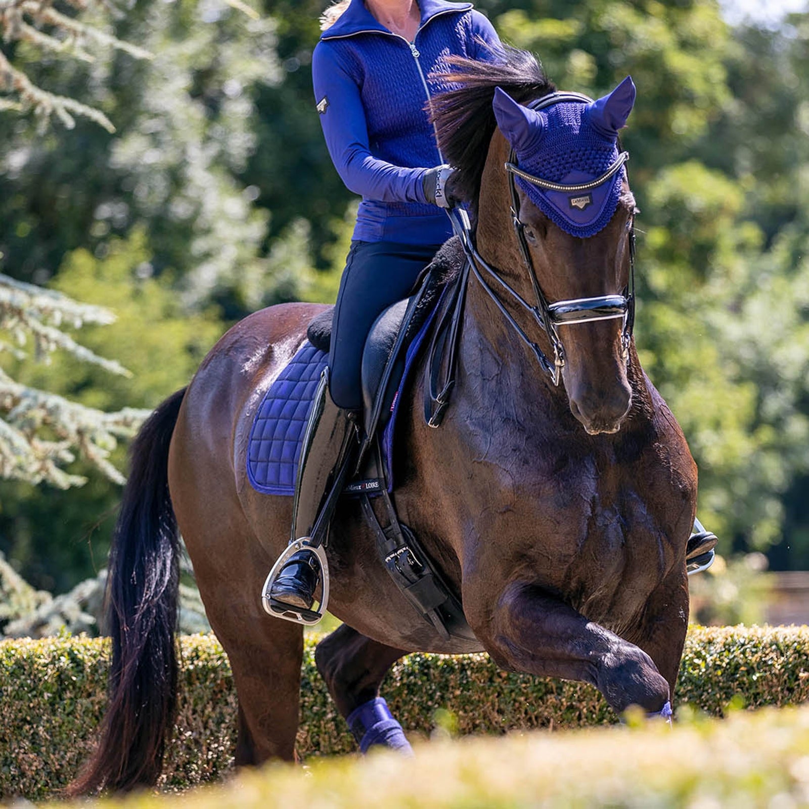 LeMieux Loire Fly Hood Saddle Pads