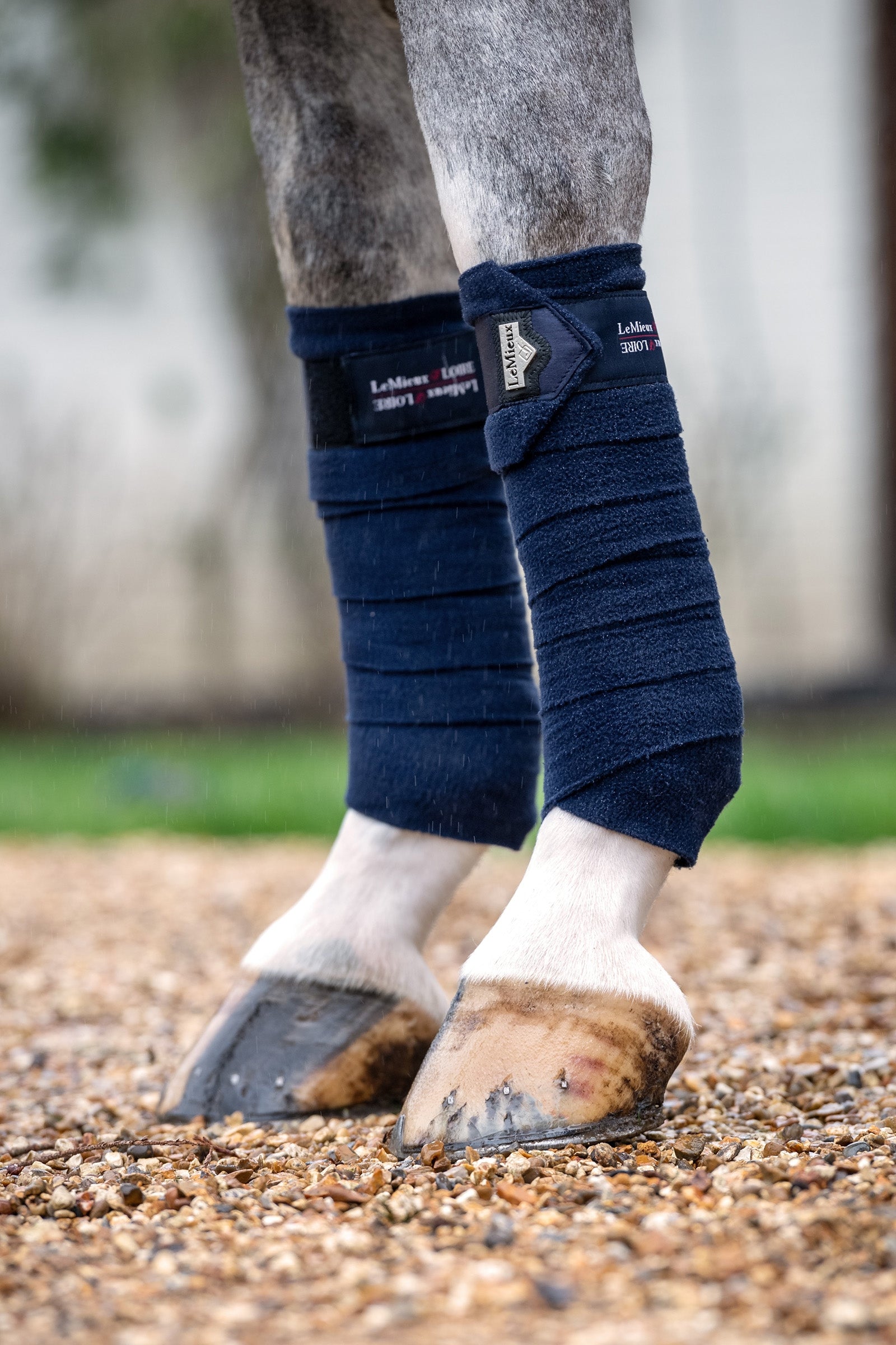 LeMieux Vendas de Polo Loire Leg Protection & Hoof Protection for Horses