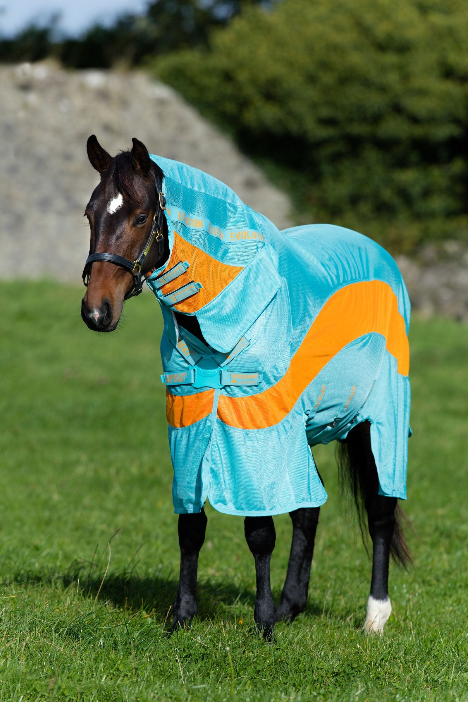 Horseware Amigo Evolution Fly Rug with Fixed Neck Mantas Caballo