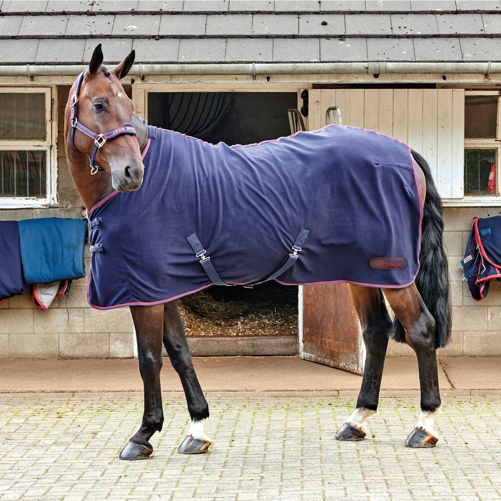 John Whitaker JW Rastrick Fleece rug Mantas Caballo