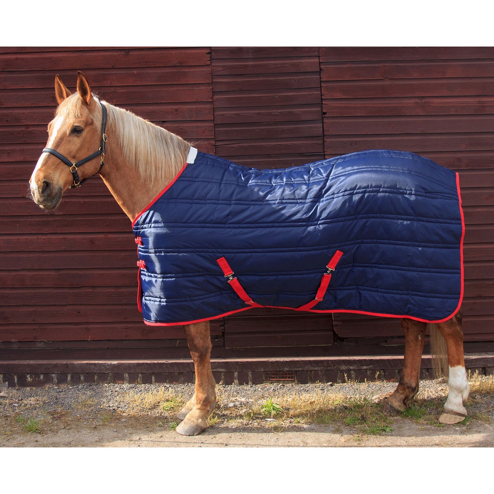 John Whitaker JW Thomas 250g Stable rug Mantas Caballo