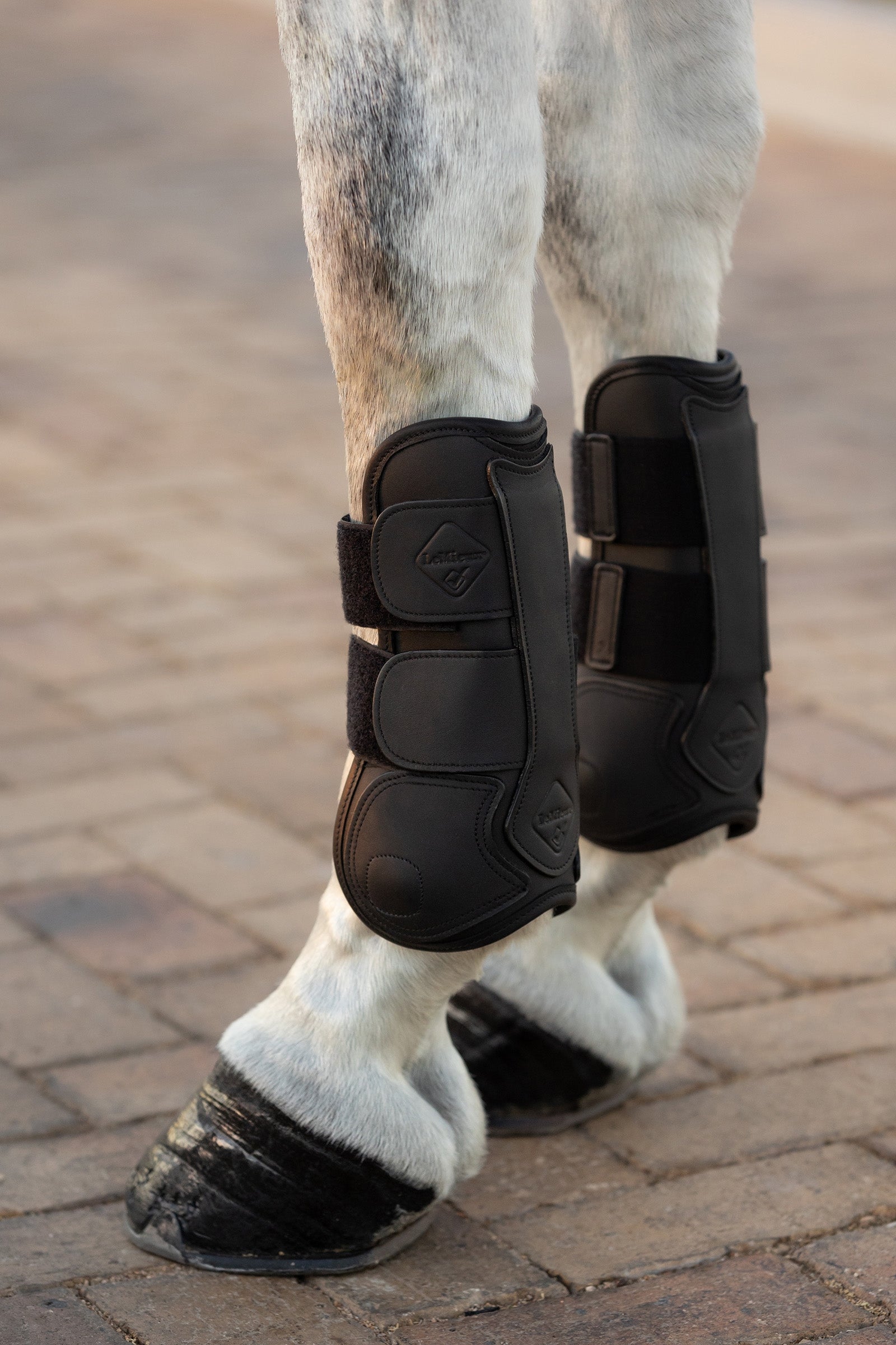 LeMieux Capella Leather Tendon Boots Leg Protection & Hoof Protection for Horses