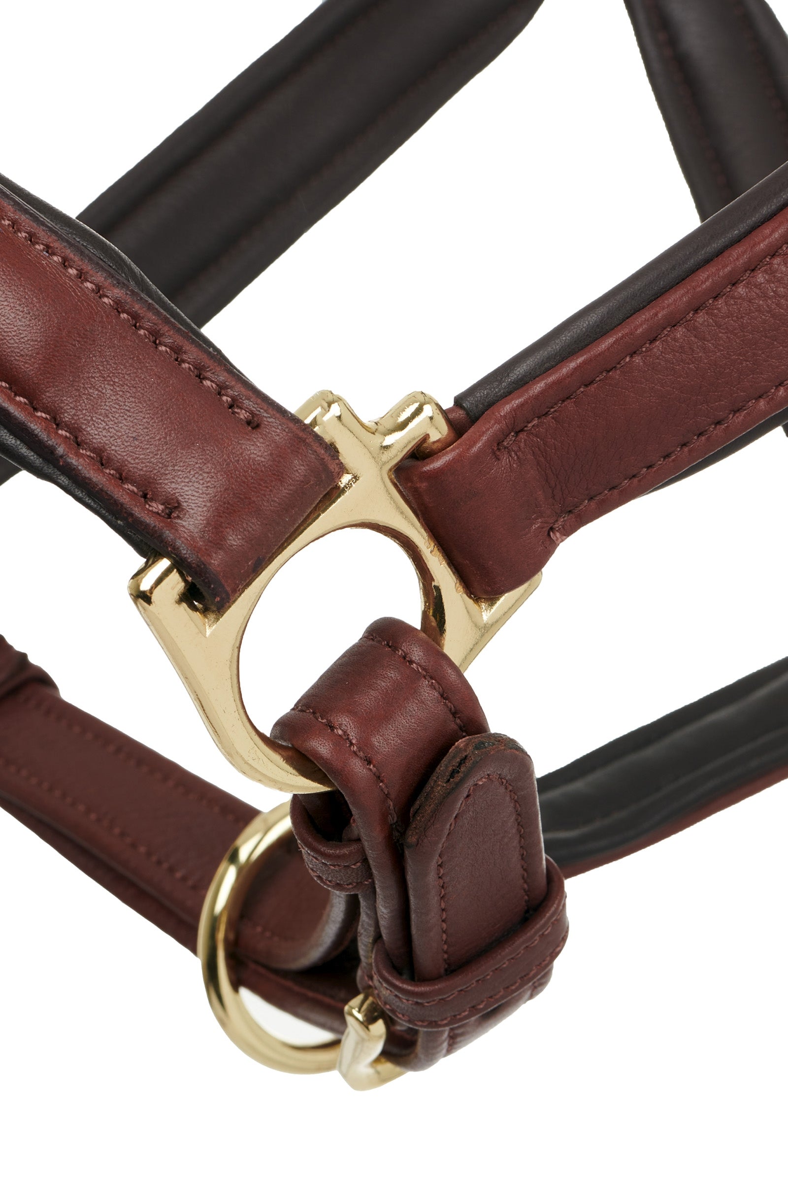 LeMieux Anatomic Leather Head Collar Halters & Leads