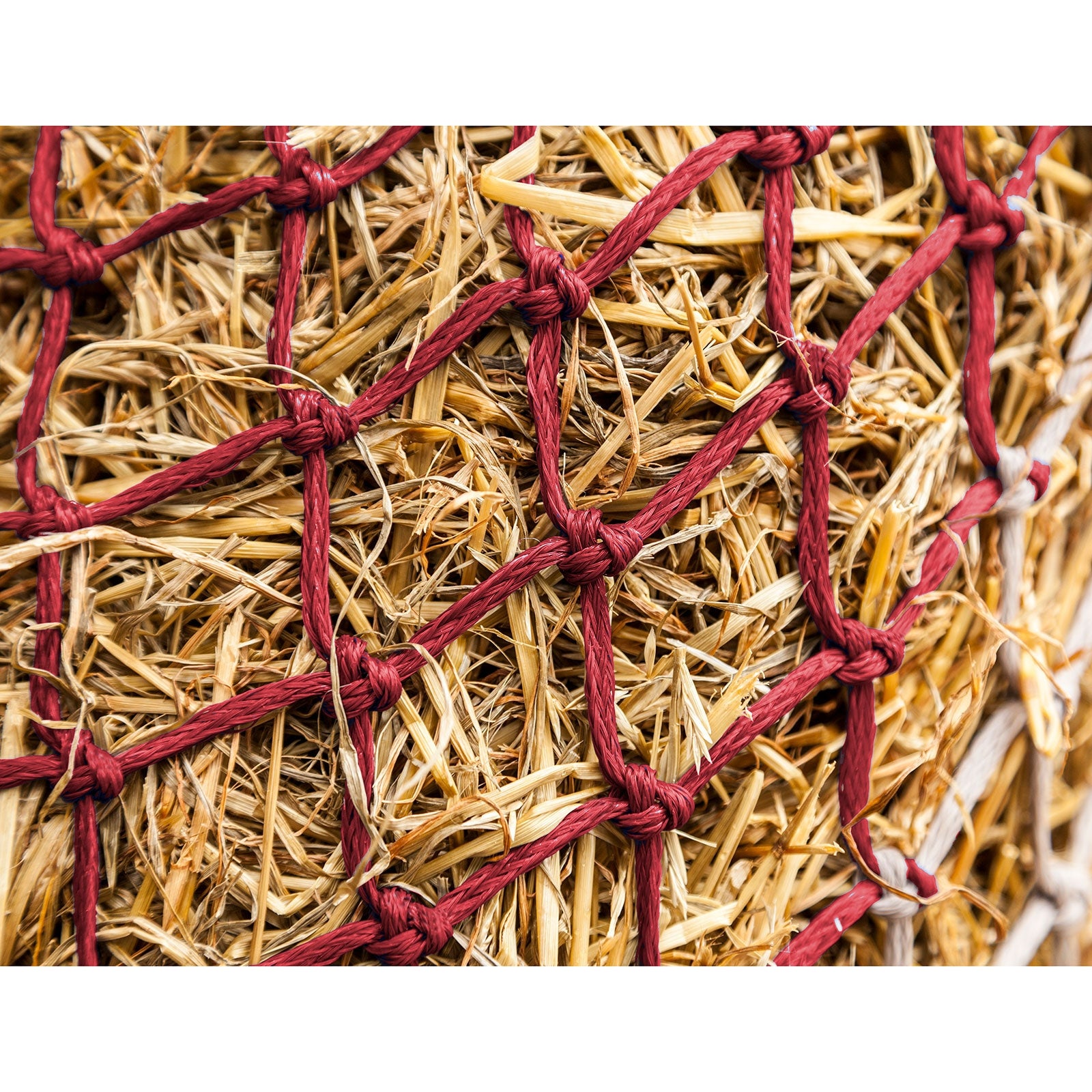 LeMieux Hippo Red para Heno Alimentación & Dar de Beber