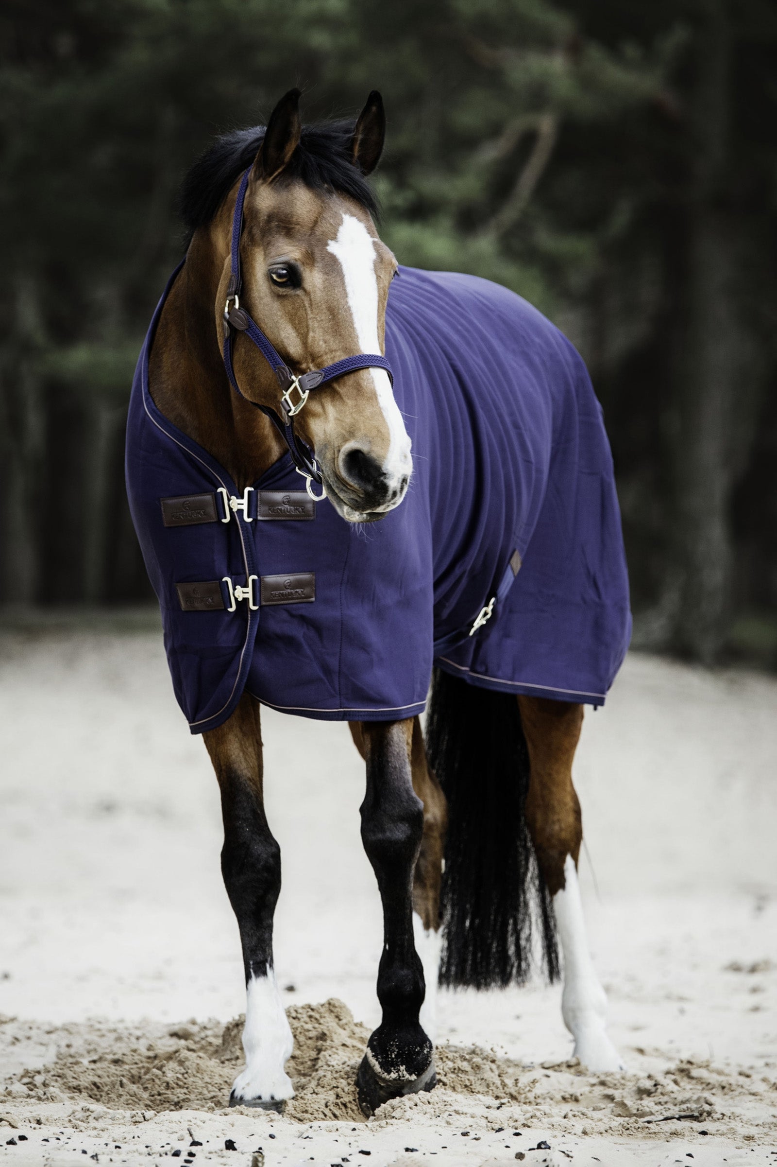 Kentucky Horsewear Manta de Secado Polar Mantas Caballo