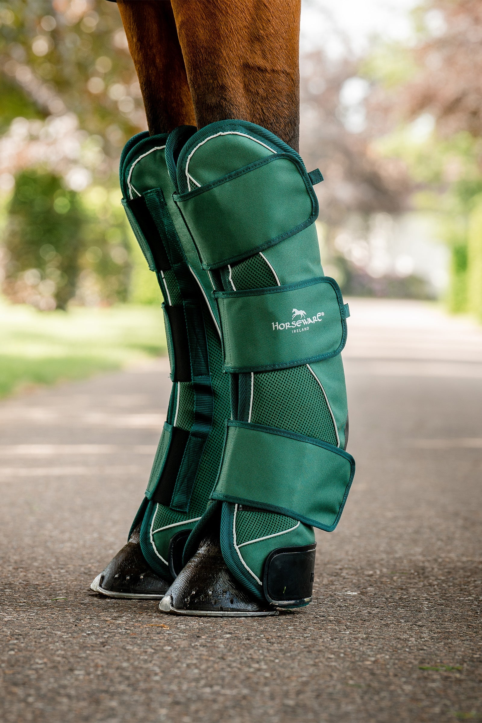 Horseware Signature Campanas de Transporte Leg Protection & Hoof Protection for Horses