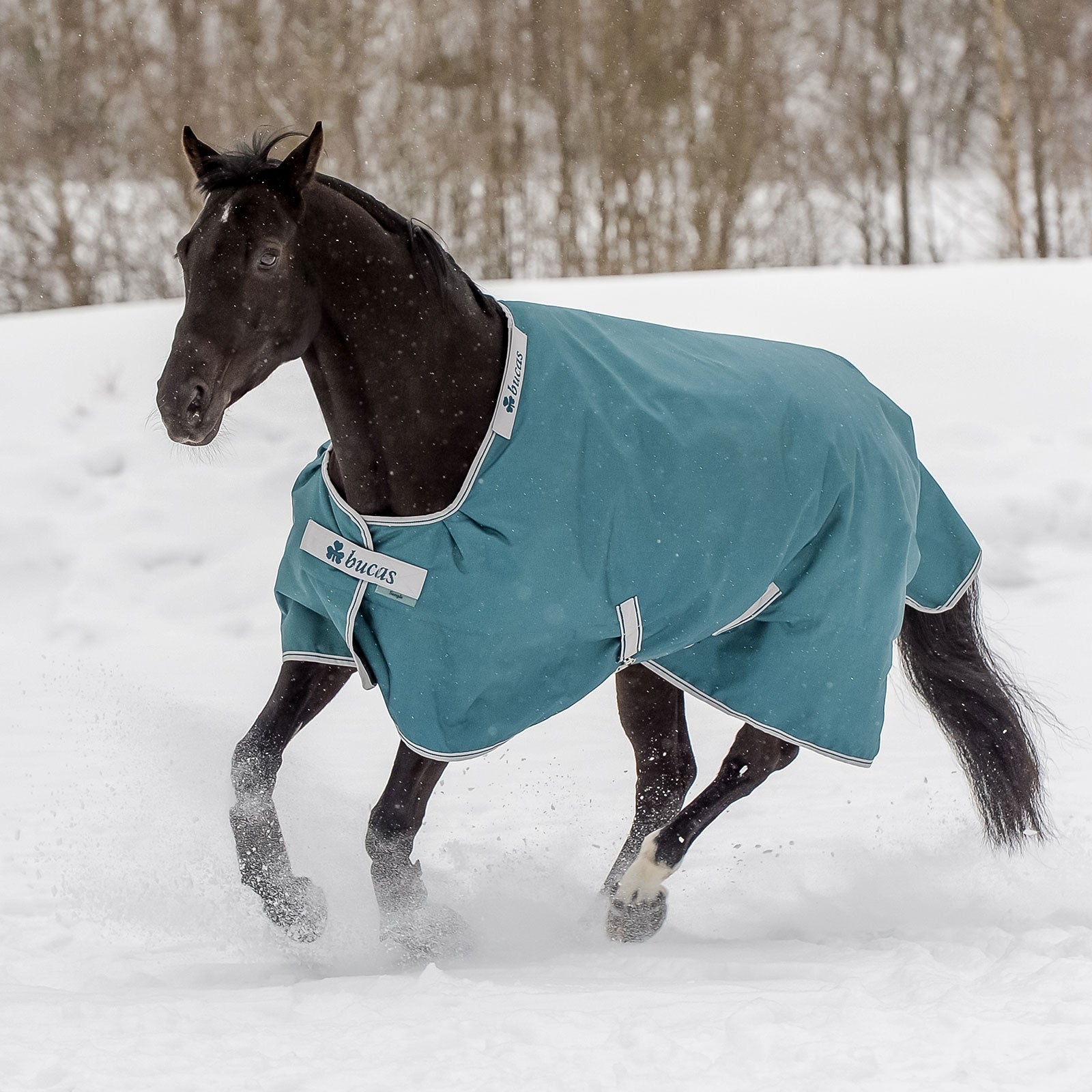 Bucas Manta de Exterior Atlantic, 400g Mantas Caballo