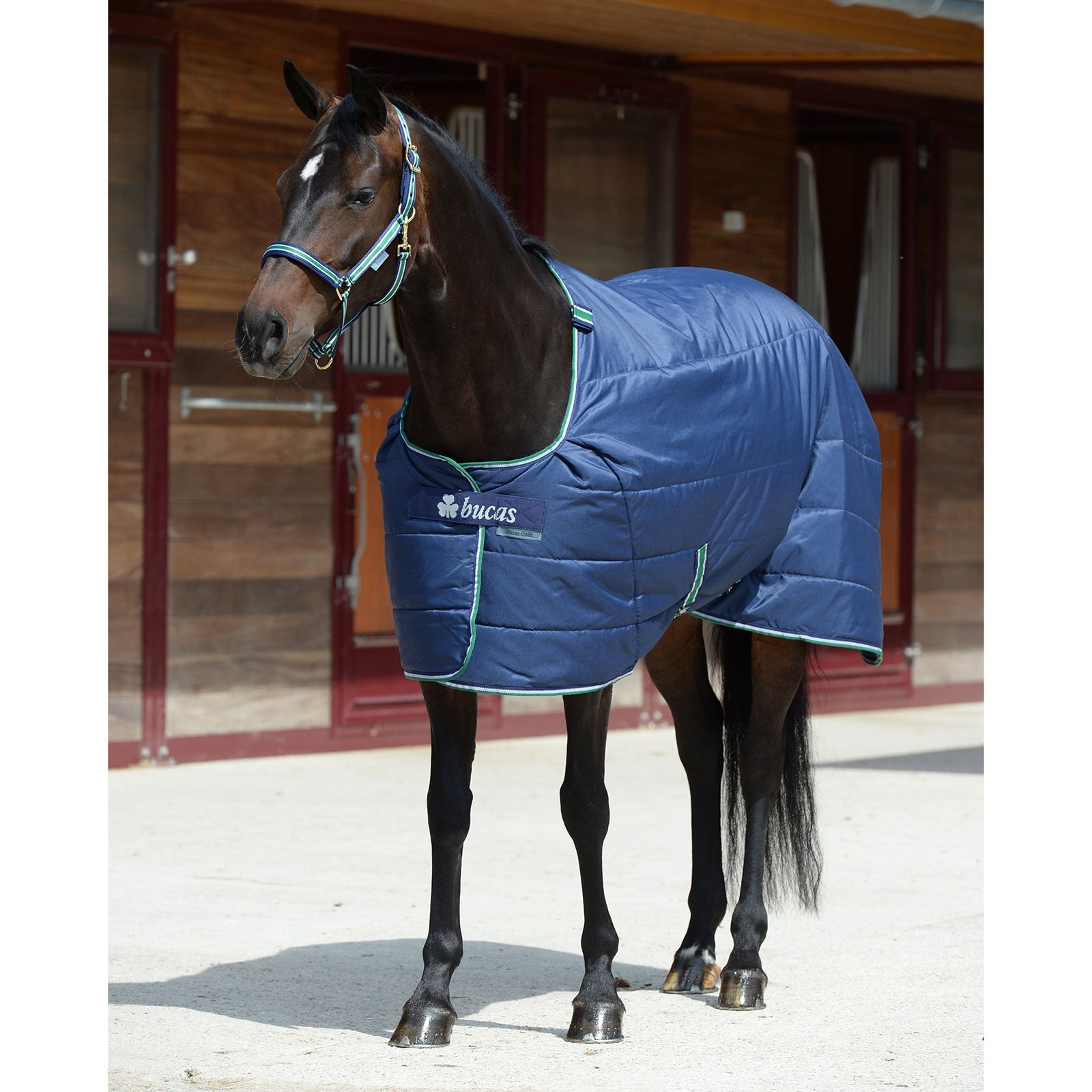 Bucas Manta Bajera Quilt Stay-dry, 300g Mantas Caballo