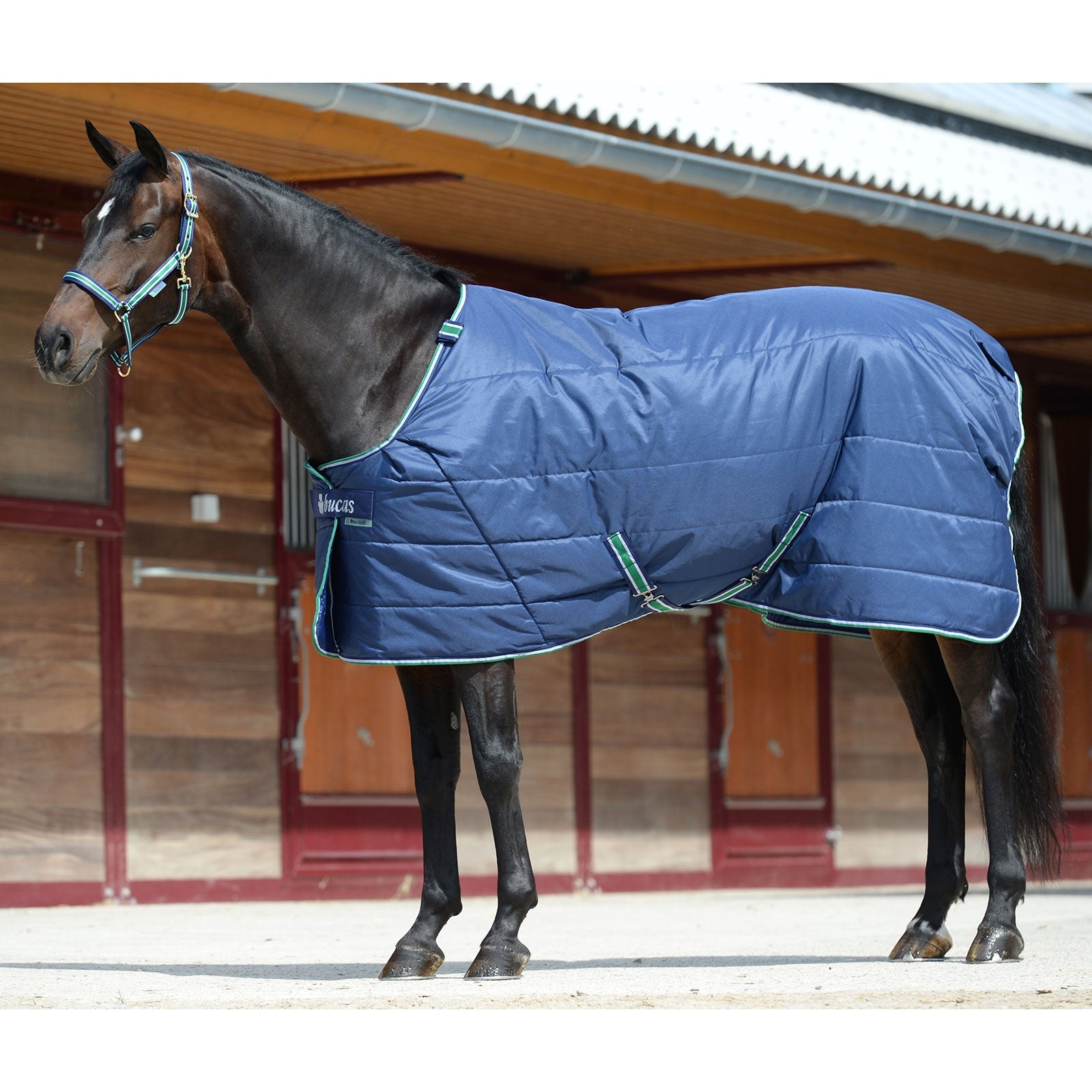 Bucas Quilt SF Under Rug, 300g Horse Rugs