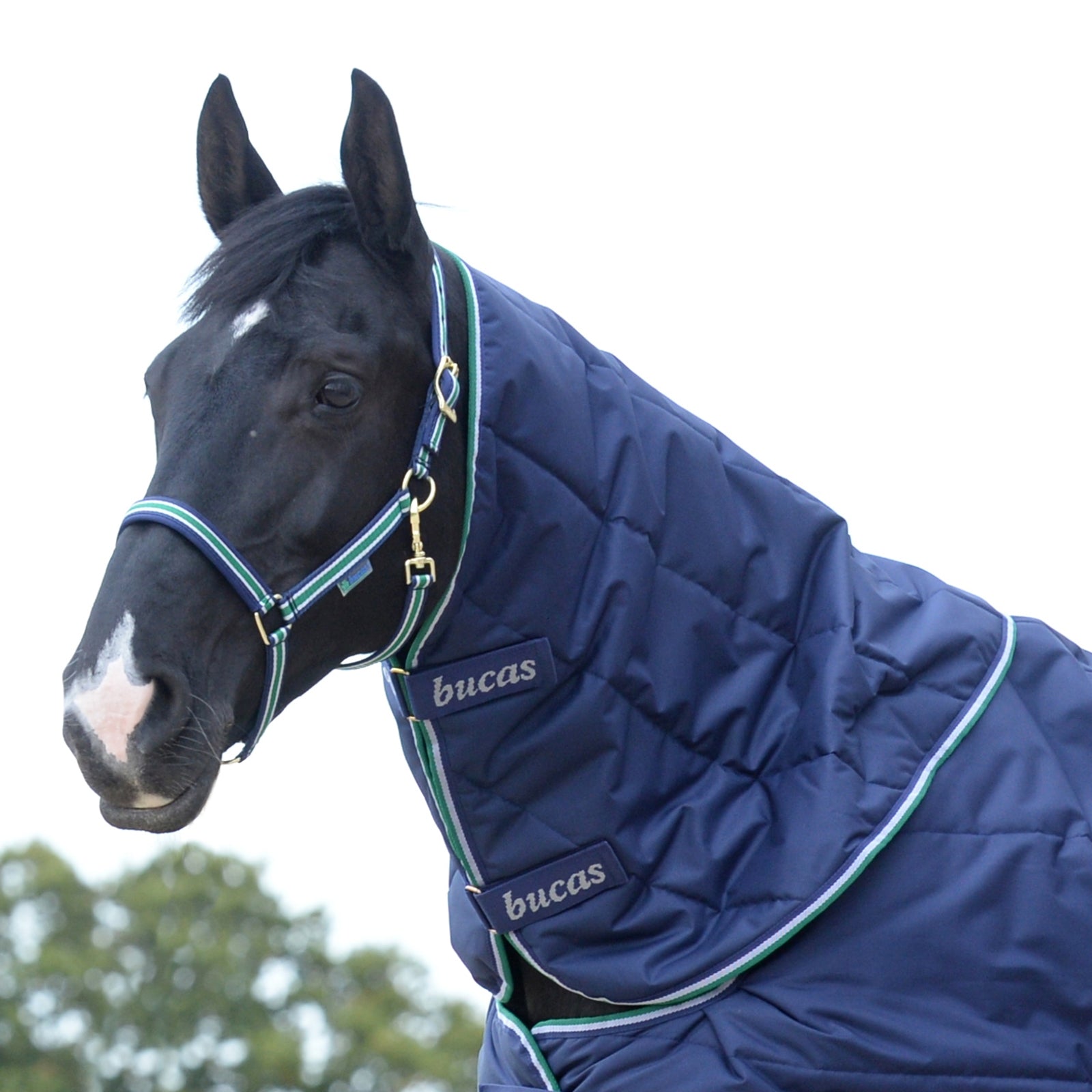 Bucas Cubre Cuello Quilt Mantas Caballo