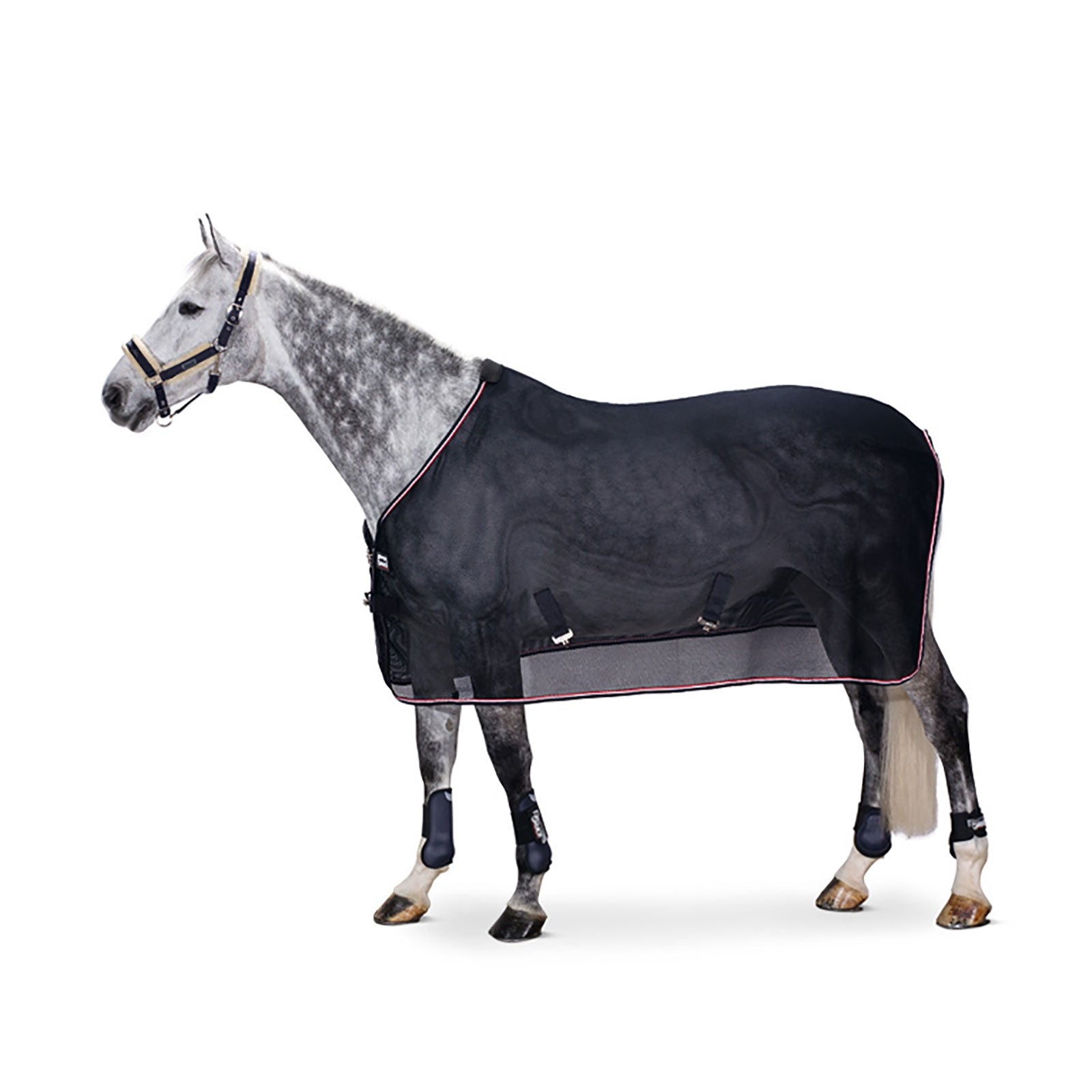 Eskadron Manta Anti-Moscas Malla Dura Mantas Caballo