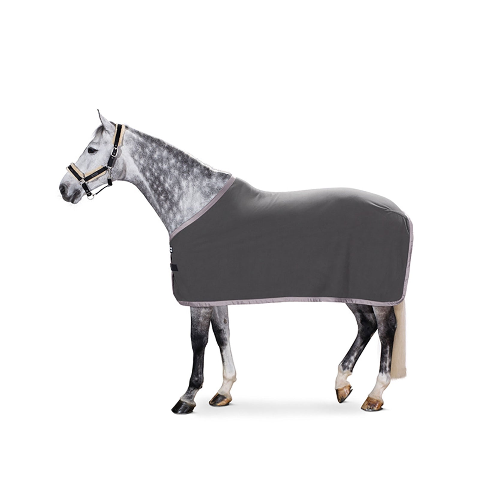 Eskadron Fleece Cooler Horse Rugs