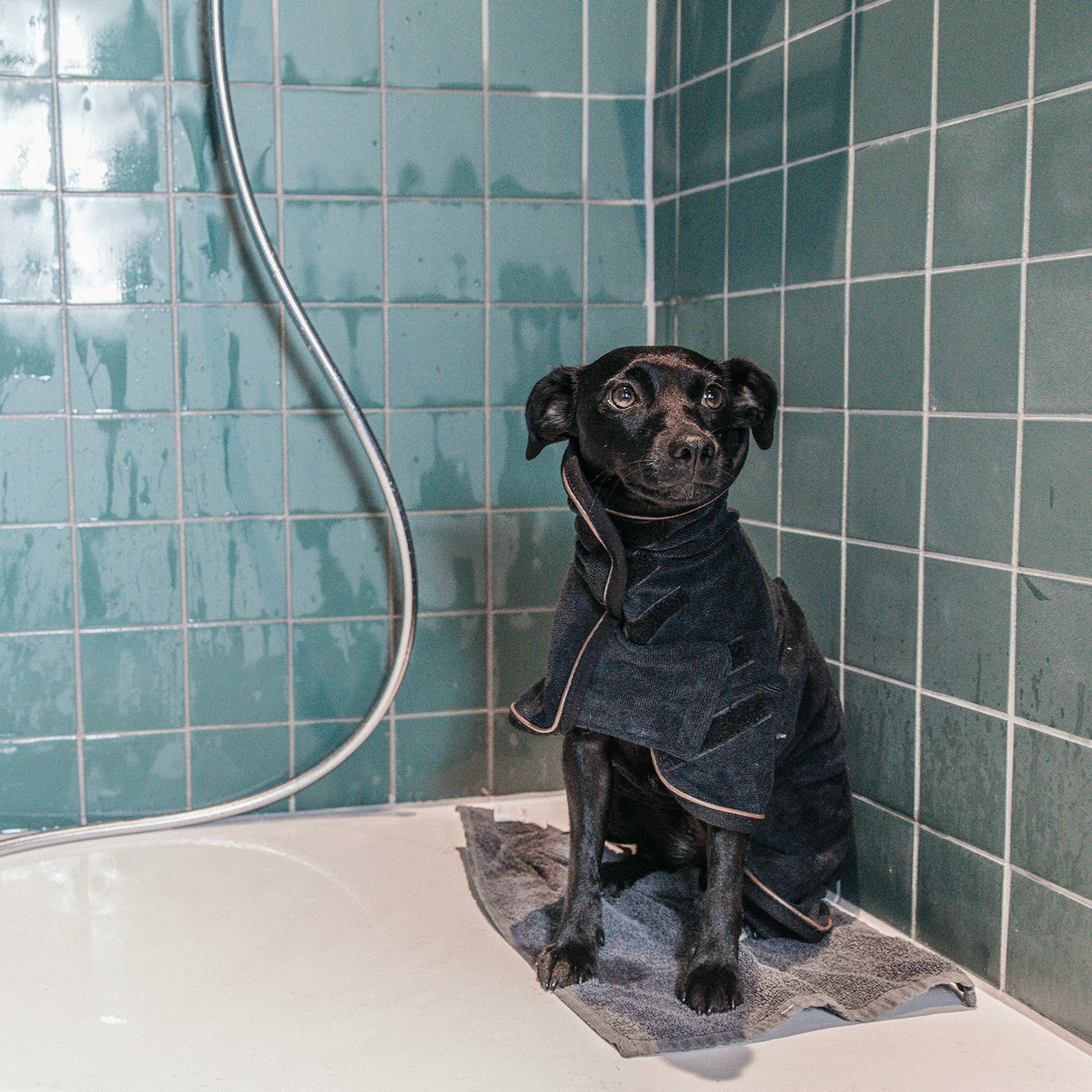 Kentucky Dogwear Dog Coat Towel Dog Accesories