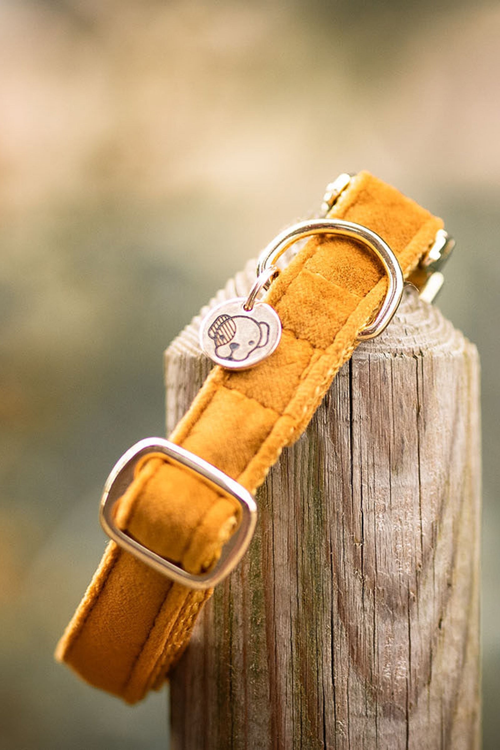 Kentucky Dogwear Dog Collar Velvet Dog Accesories