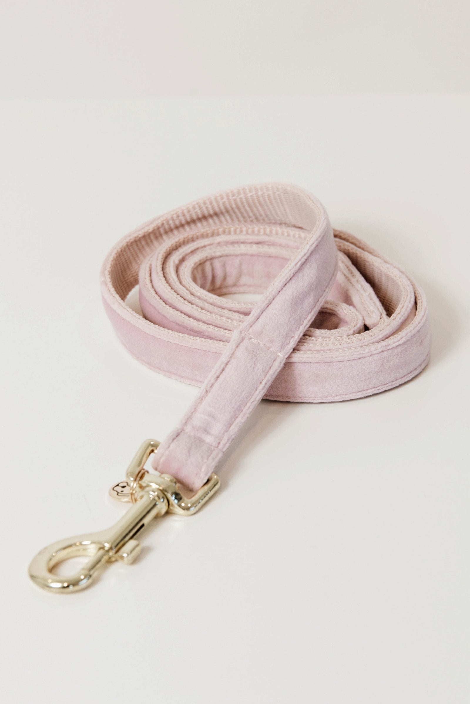Kentucky Dogwear Perro Correa Terciopelo Perro
