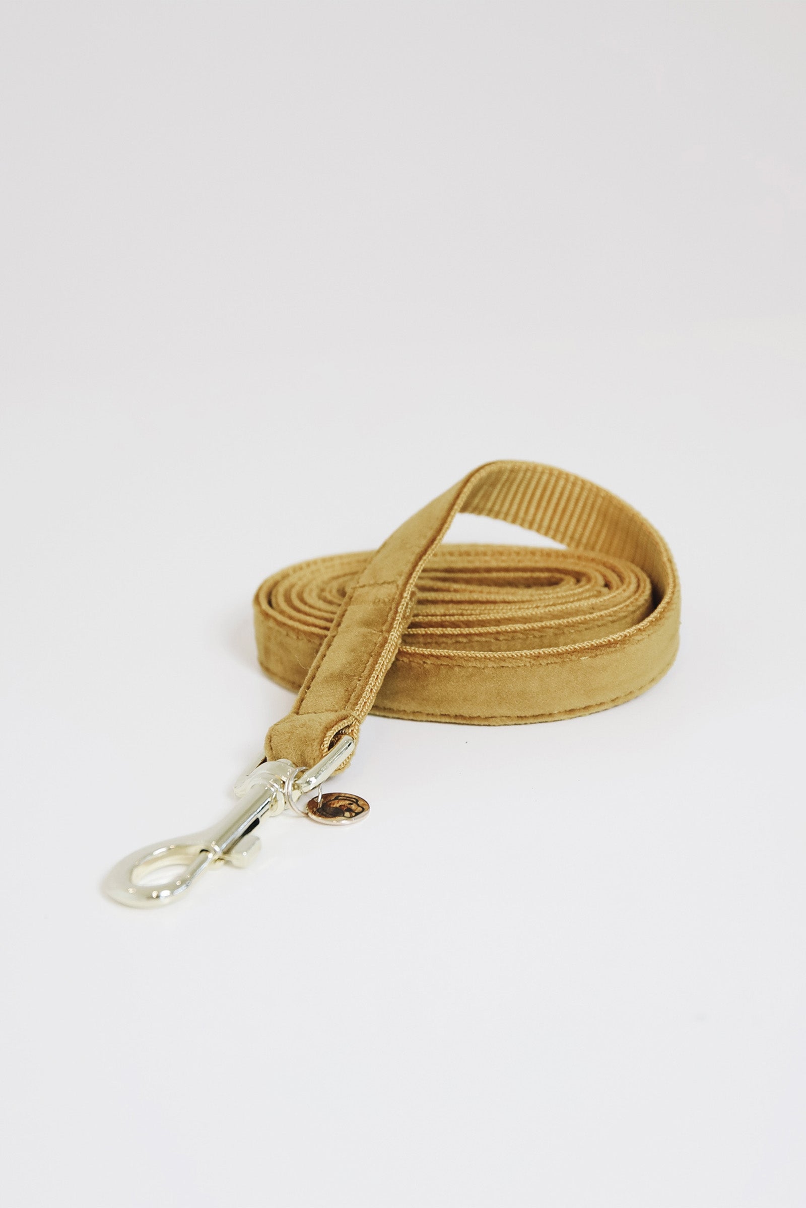Kentucky Dogwear Perro Correa Terciopelo Perro