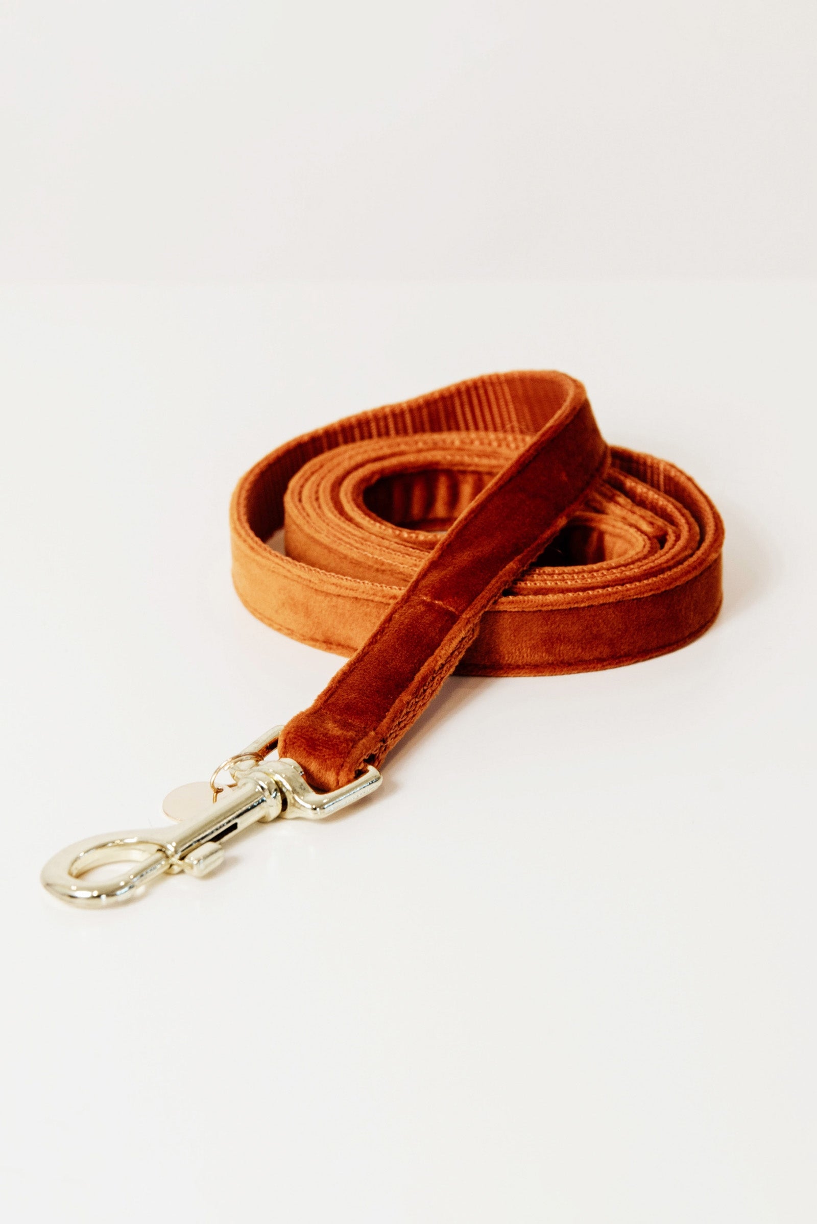 Kentucky Dogwear Perro Correa Terciopelo Perro