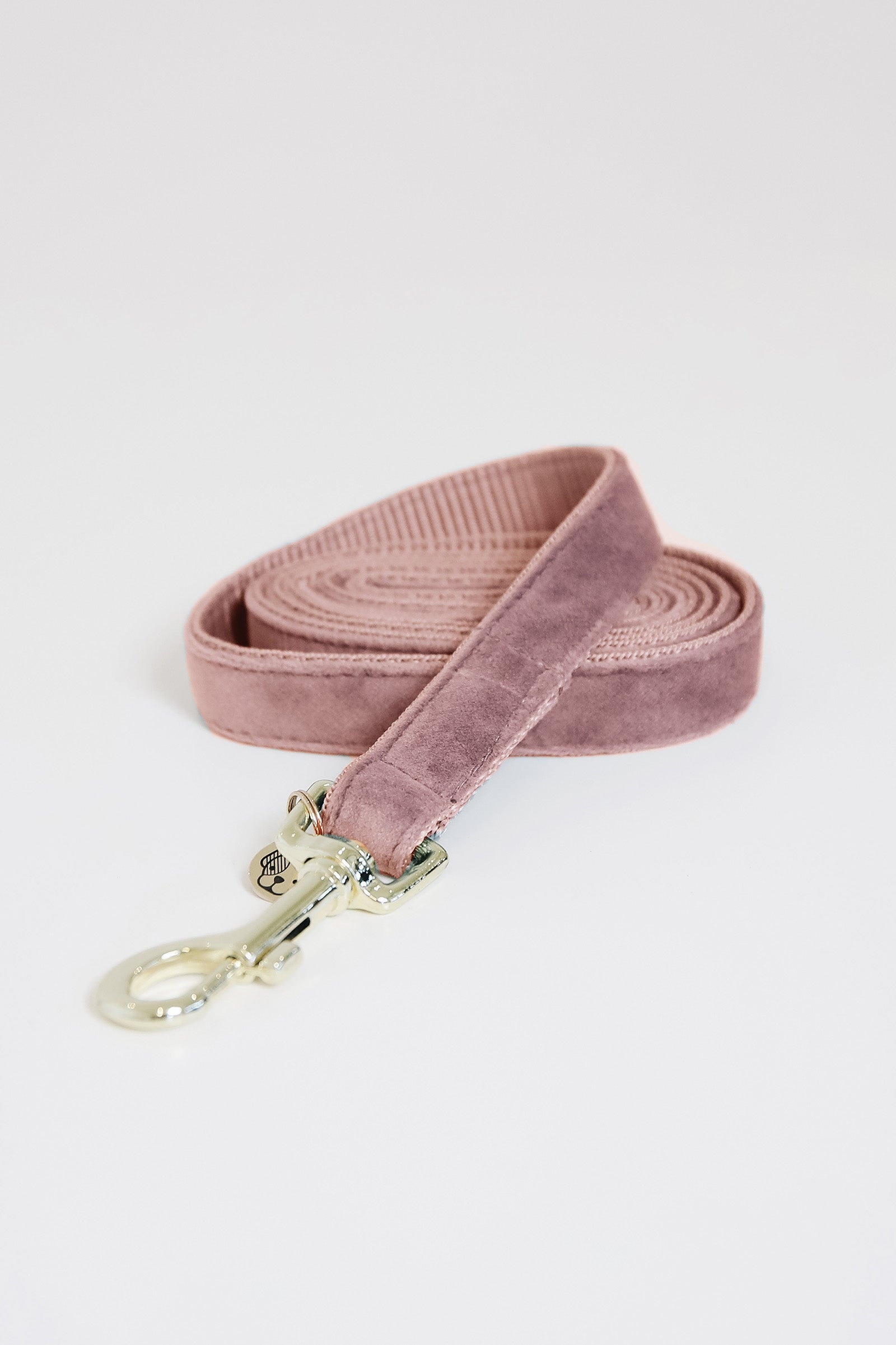 Kentucky Dogwear Perro Correa Terciopelo Perro