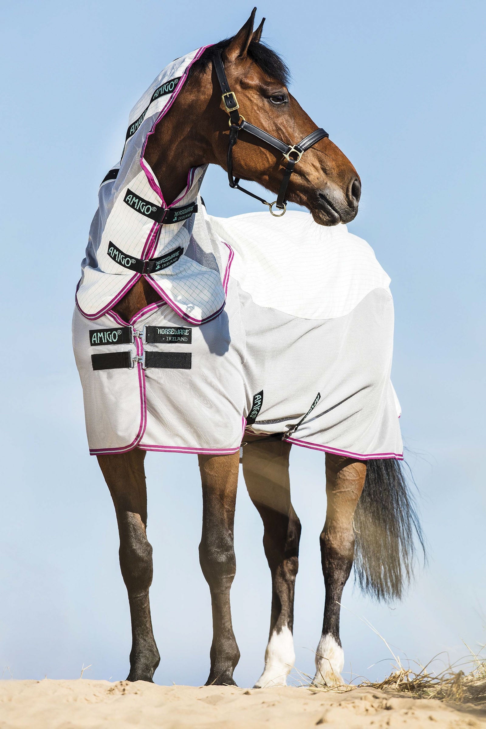Horseware Amigo Airflow manta antimoscas con cuello desmontable Mantas Caballo