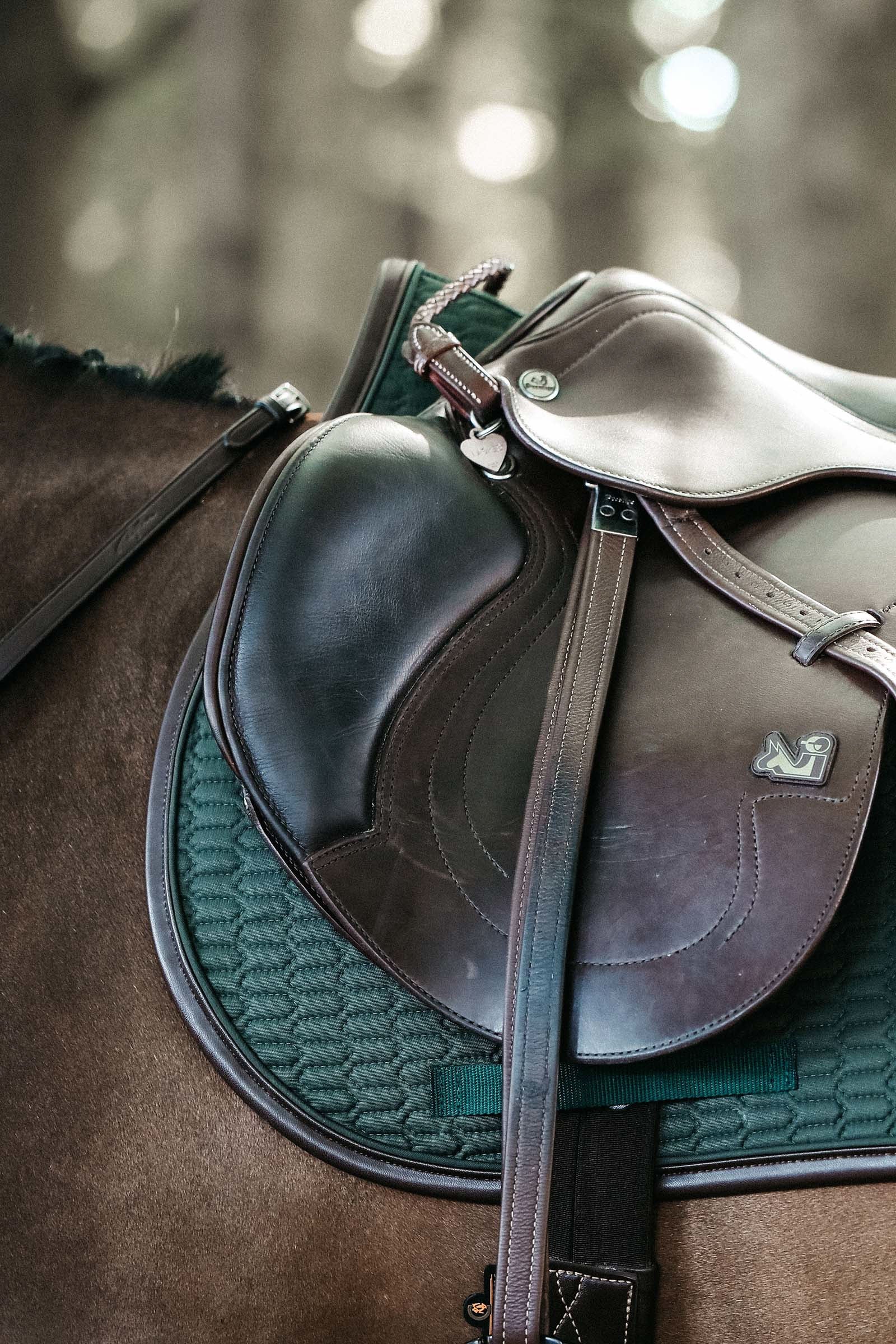 Saddle Pad Color Edition Leather Jumping Olive Dark Green F Horze saddle-pad-color-edition-leather-jumping-olive-dark-green-f-horze