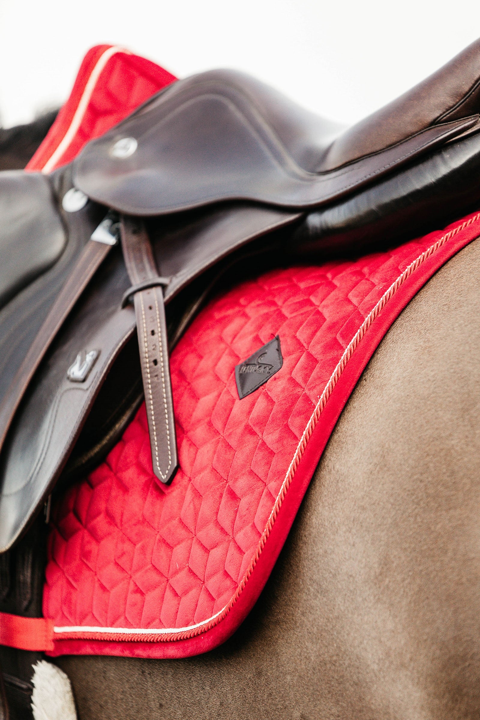 Kentucky Horsewear Velvet Dressage Saddle Pad Saddle Pads