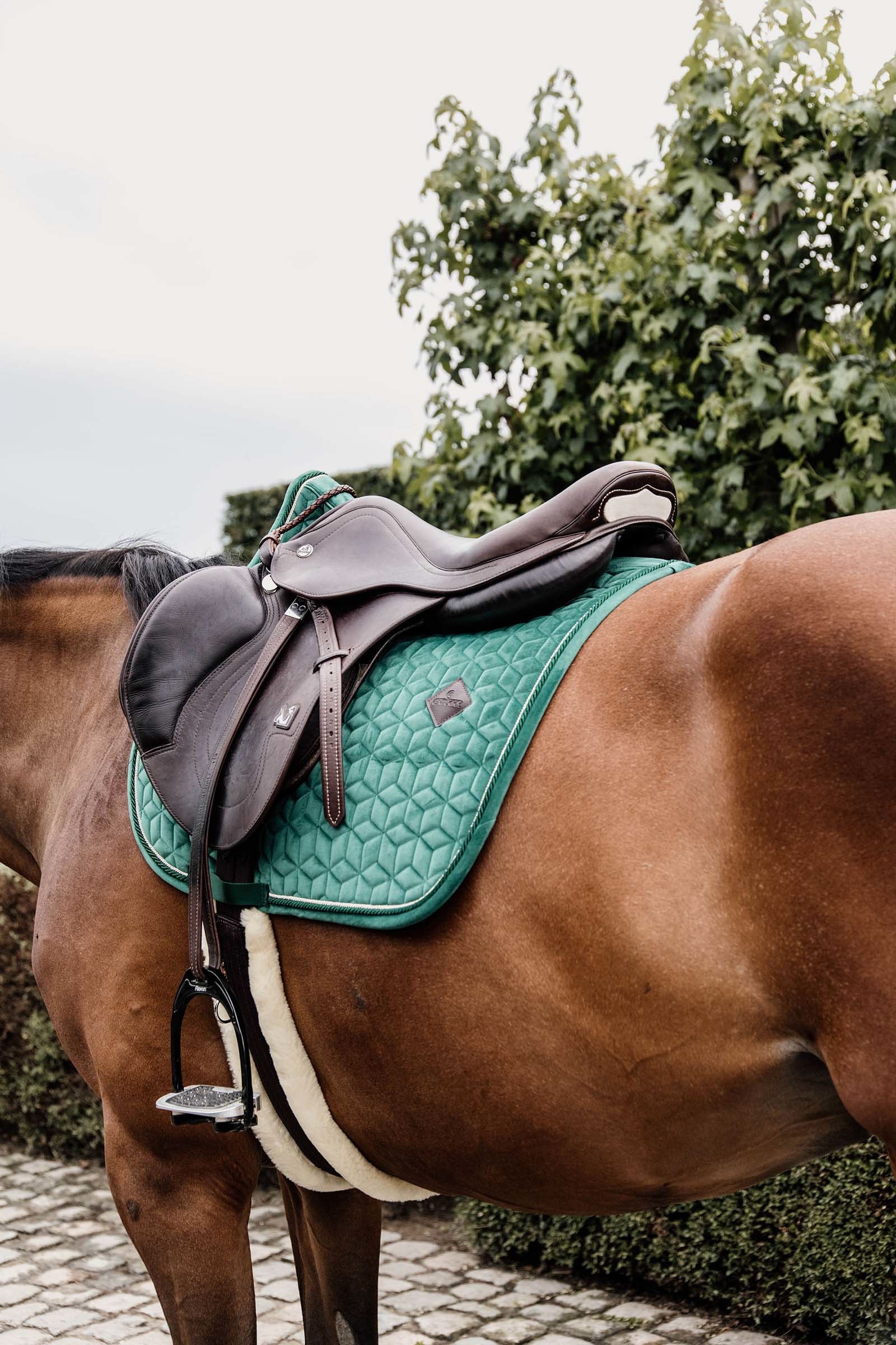 Kentucky Horsewear Velvet Jumping Saddle Pad Saddle Pads